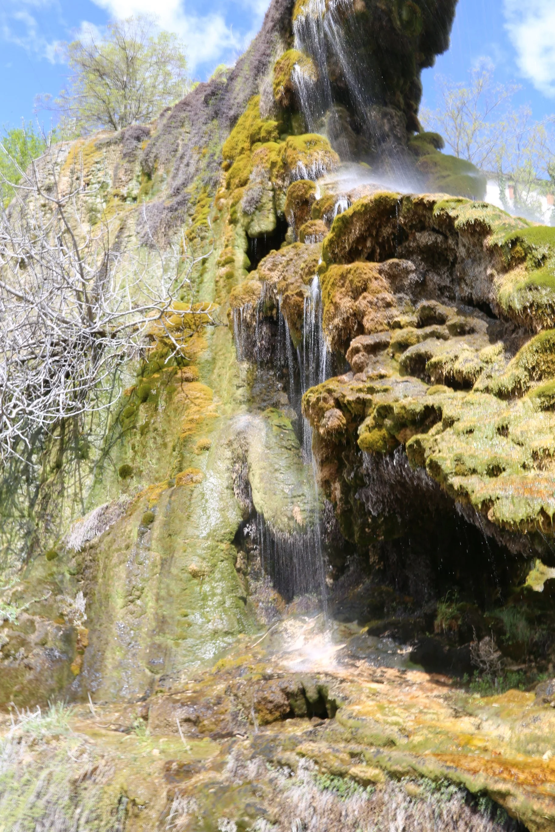 Serenity Falls: Captivating Waterfall Art Print