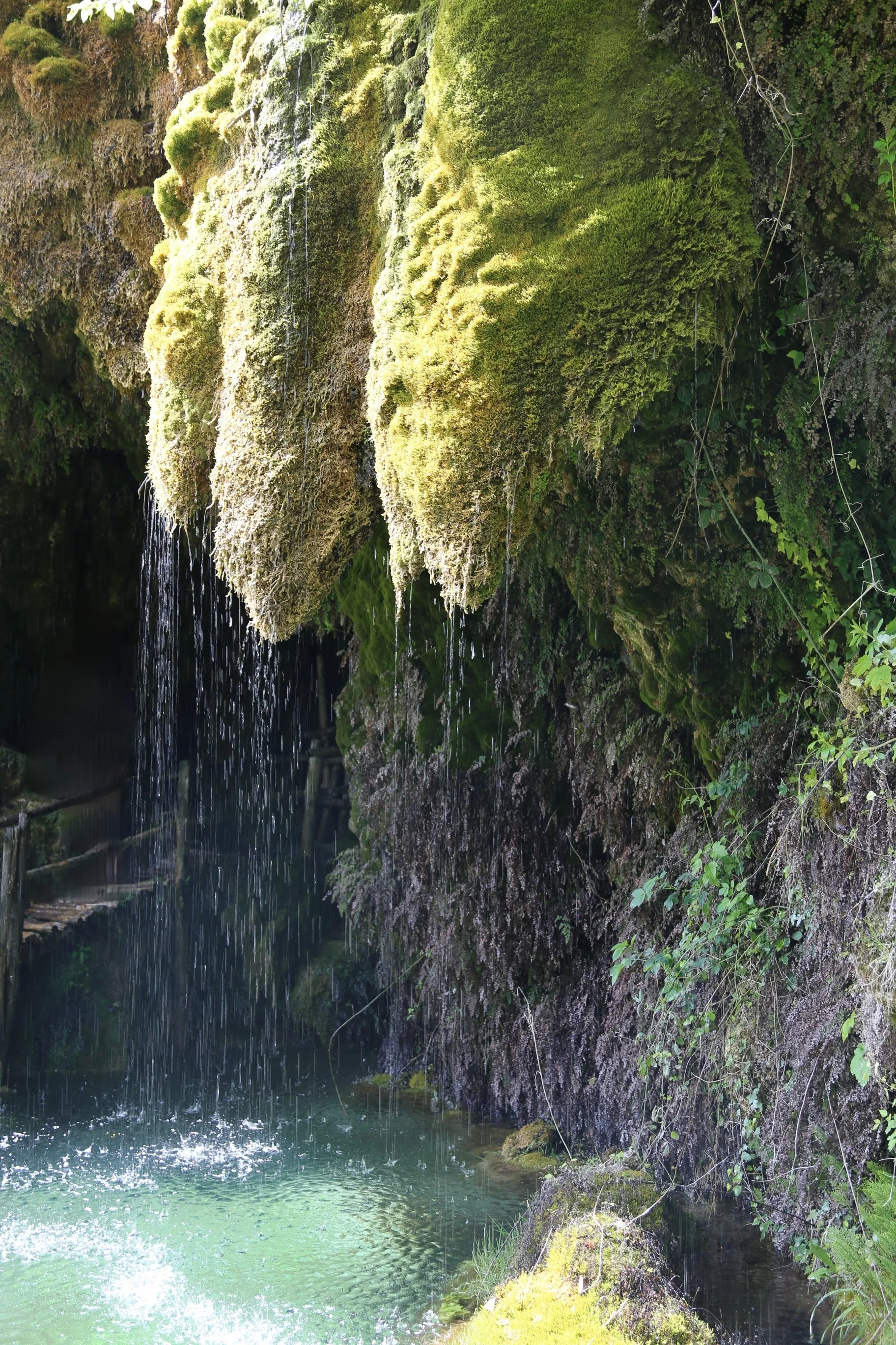 Tranquil Waterfall Oasis Art Print