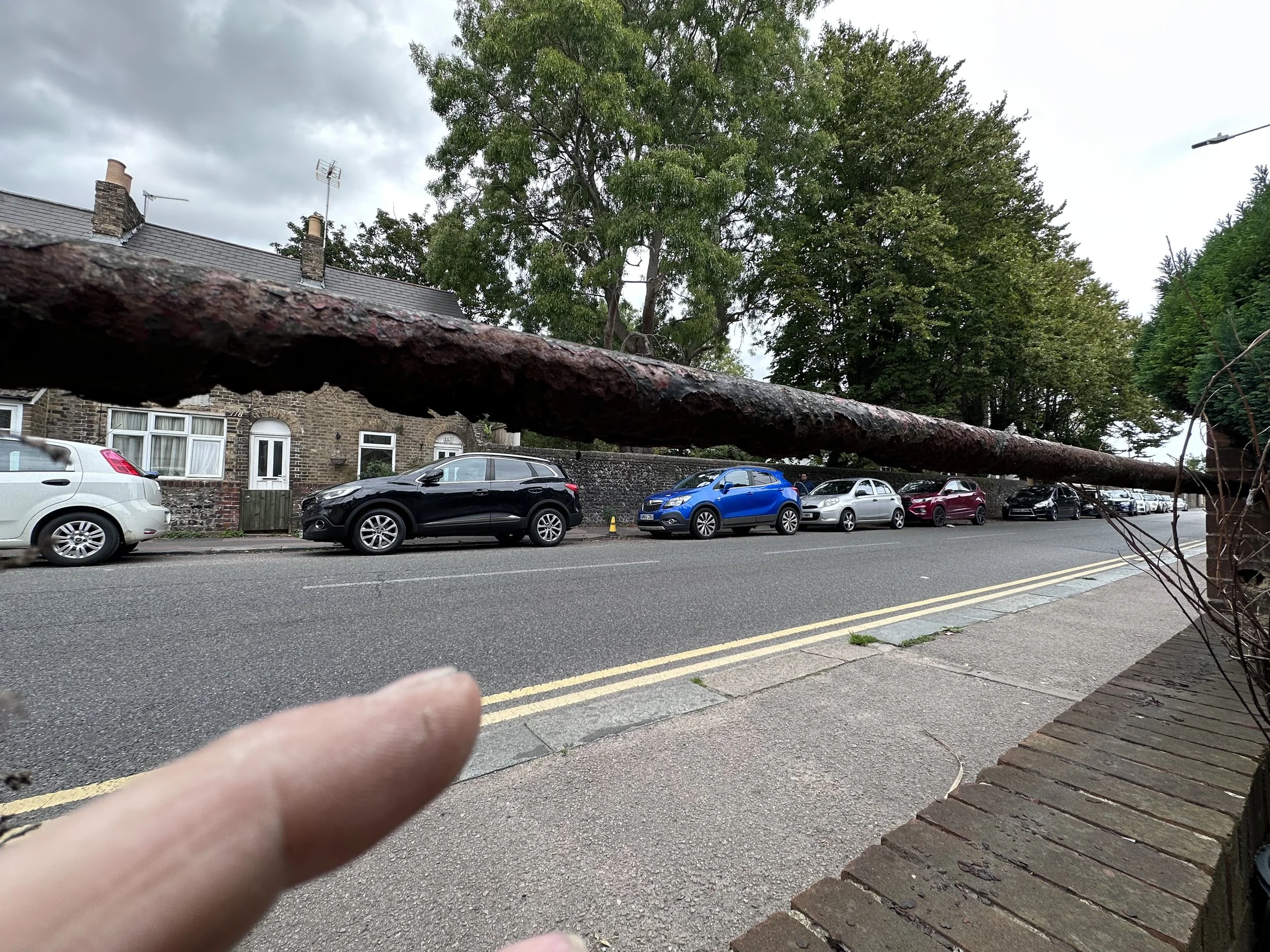 A fallen tree branch lying across a suburban street with parked cars and houses in the background.
