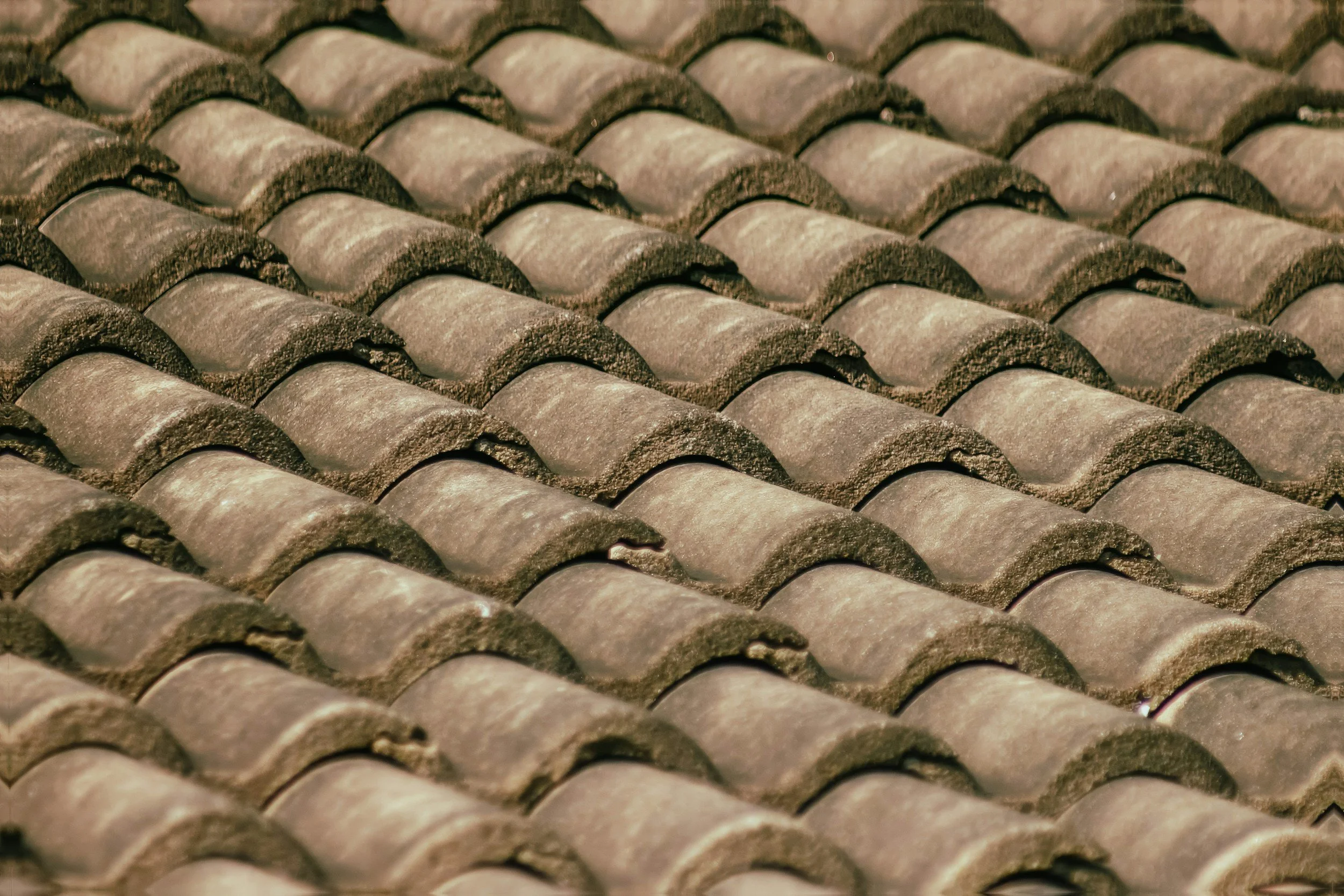 Close-up image of a roof with weathered, curved clay tiles arranged in a repeating pattern.