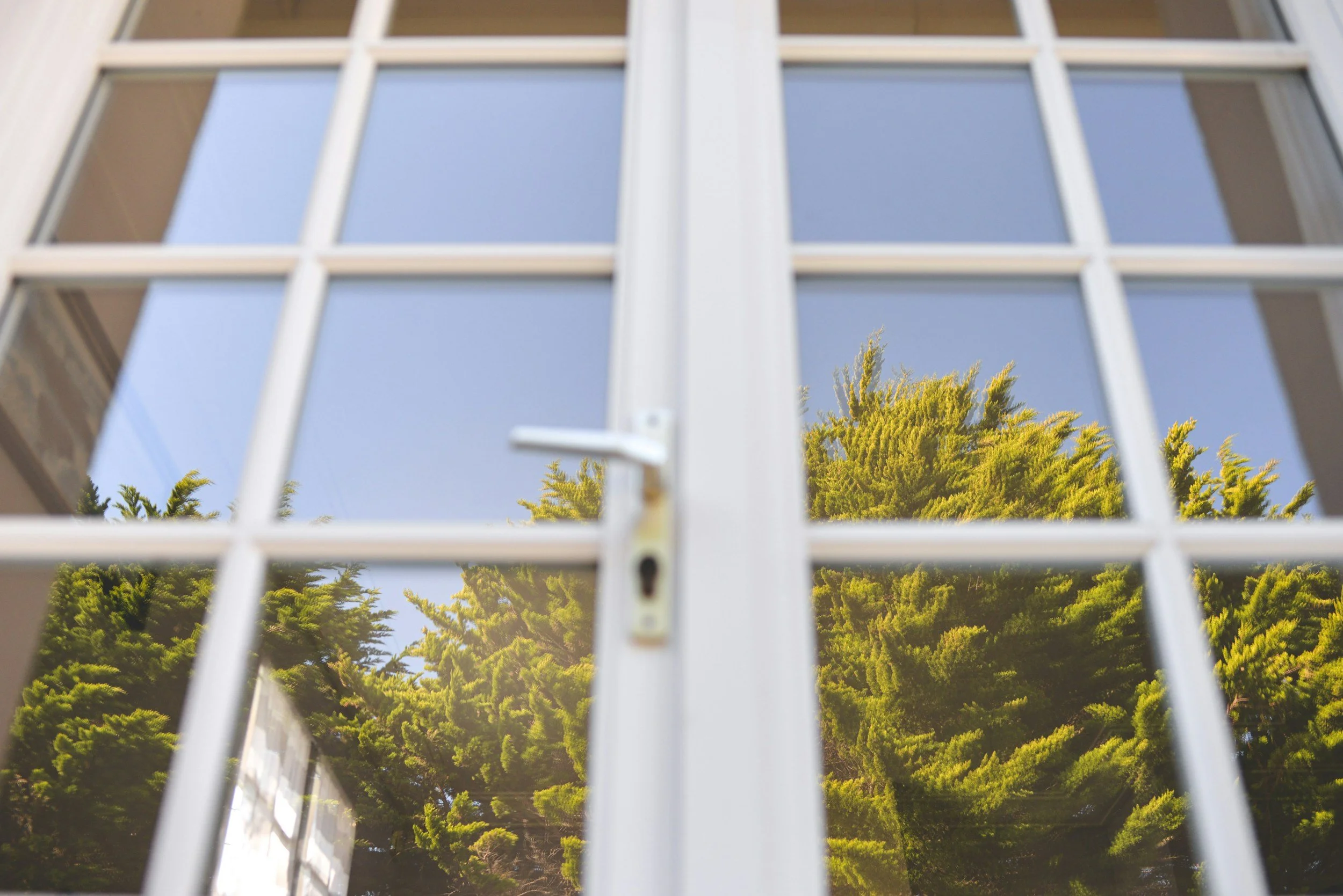 View of a window with white framing and glass panes reflecting a blue sky and green trees outside.