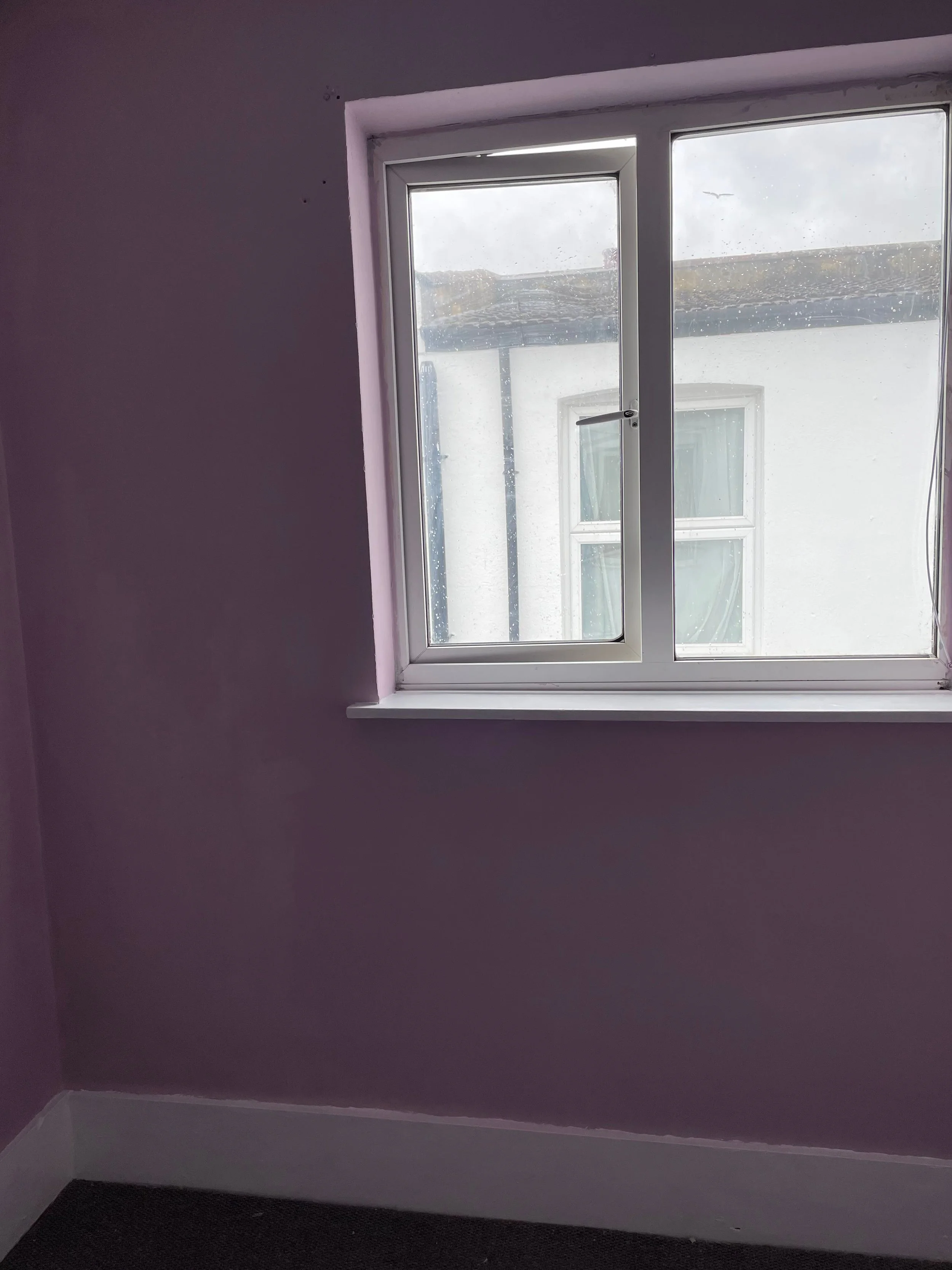 An empty room with purple-painted walls, a window with a white frame, and a dark-colored carpeted floor.