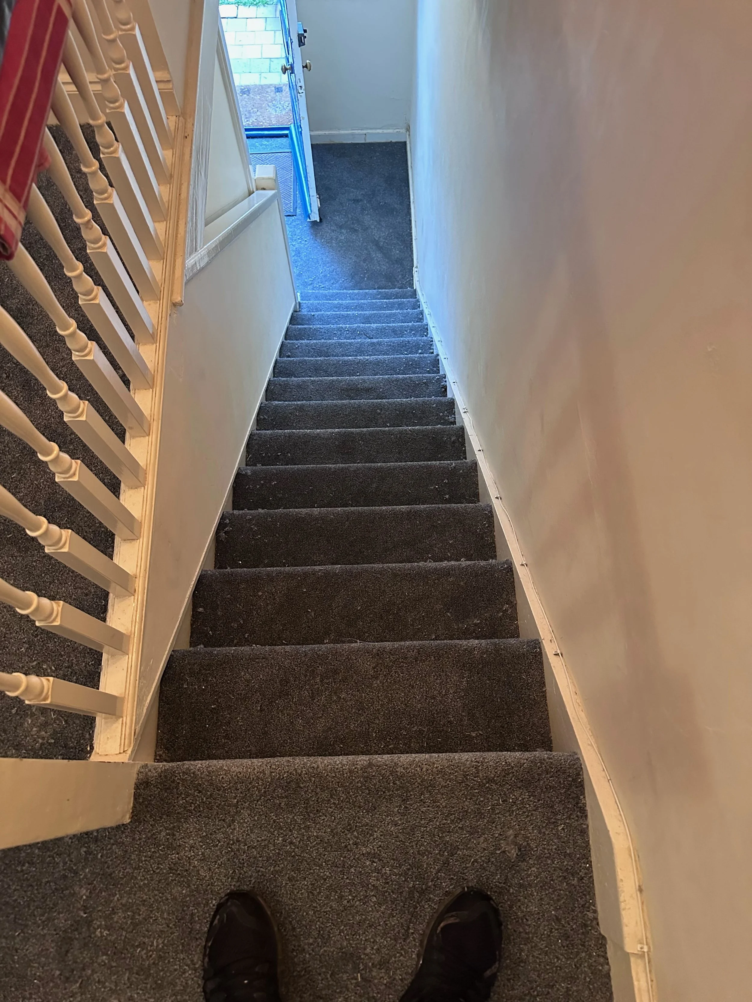 Top-down view of carpeted stairs leading down to a door that opens to an outdoor brick area, with a person’s shoes visible at the bottom of the stairs.