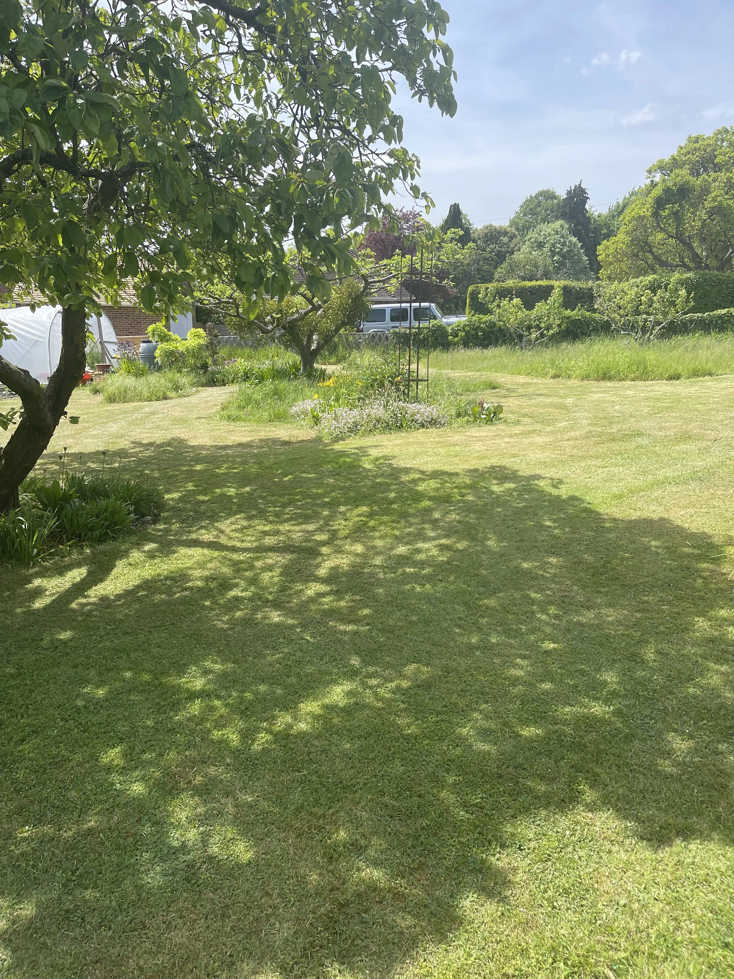 A green yard with grass, trees, bushes, and a garden arch in the center. There is a house with a window and a white canopy on the left side. A silver vehicle is parked in the background.