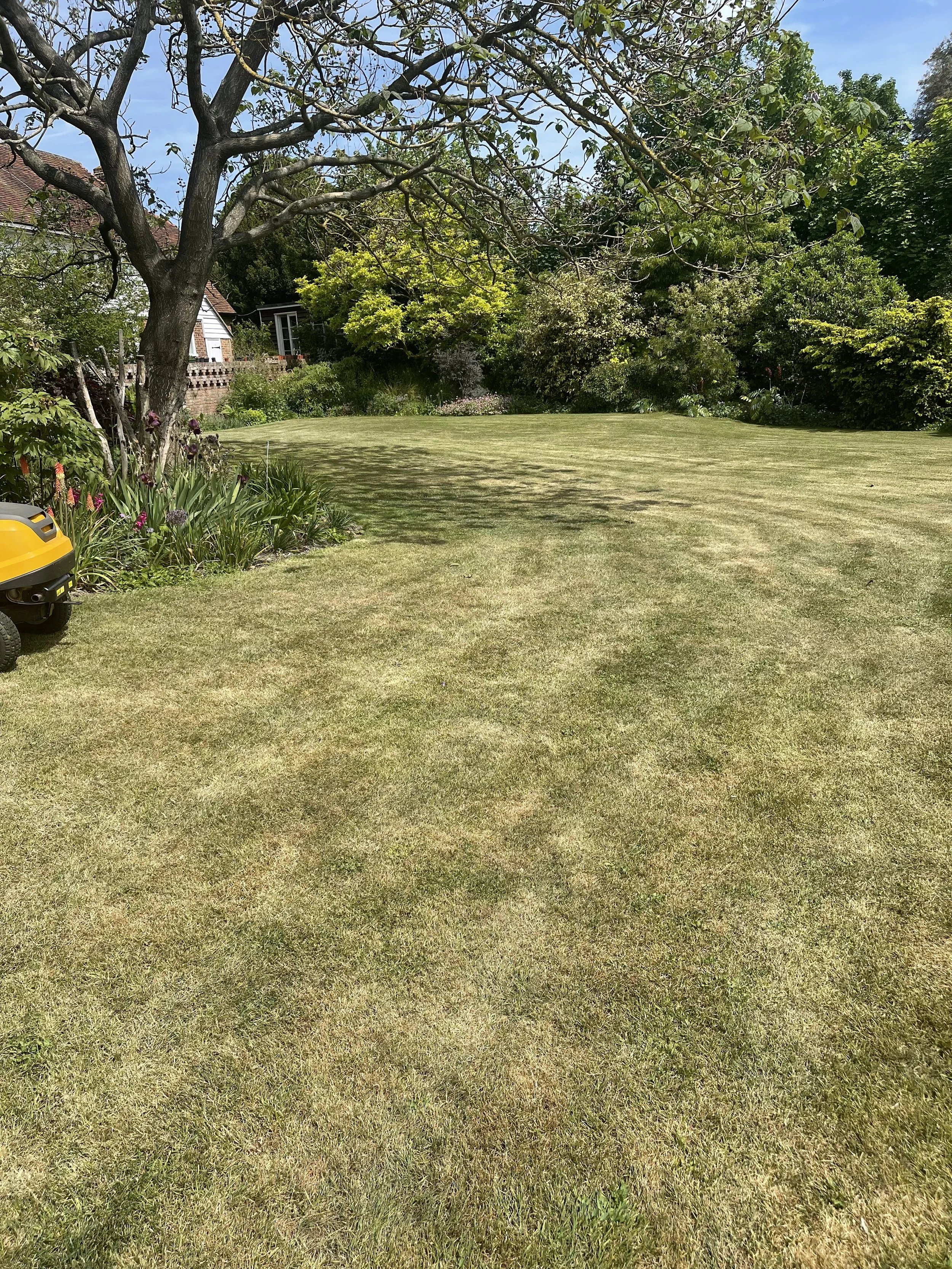 A backyard with a large, leafless tree, green shrubs, and a neatly mowed lawn. There is a yellow lawn mower in the lower left corner. A white house with a brick foundation and a garden shed are visible in the background.