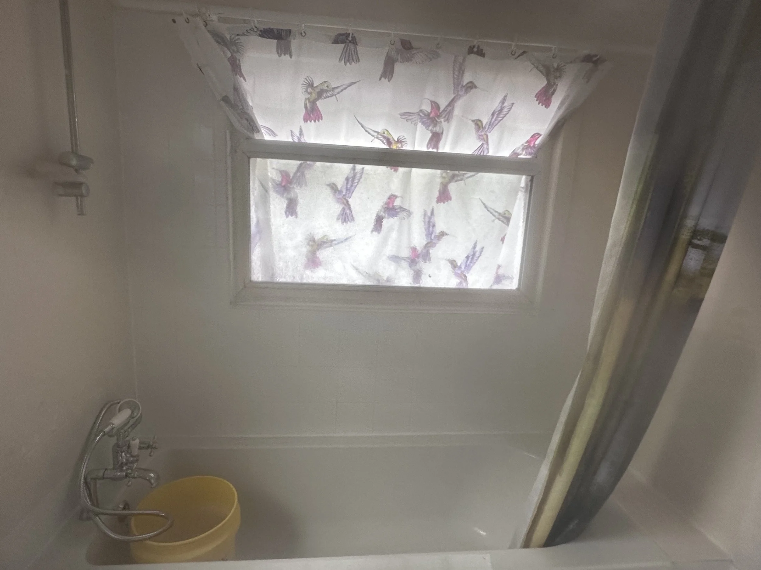 A small bathroom with a shower head and a yellow bucket on the floor, a window with a curtain with hummingbird pattern, and a light-colored wall.
