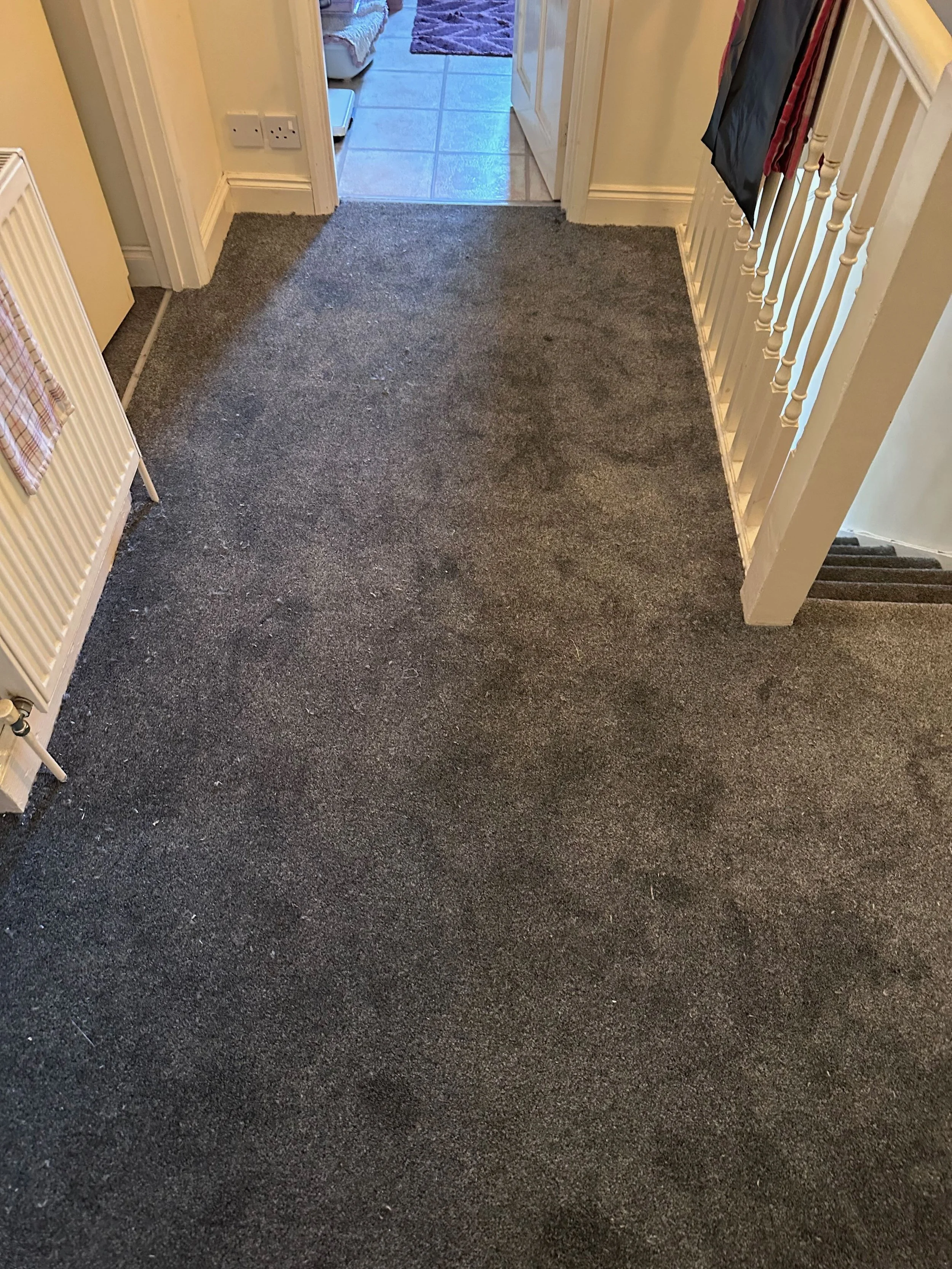 A hallway with a dark carpet, a staircase on the right, a doorway at the end leading to a tiled room, with clothes hanging on the railing, a radiator on the left, and a multi-colored dish towel hanging.