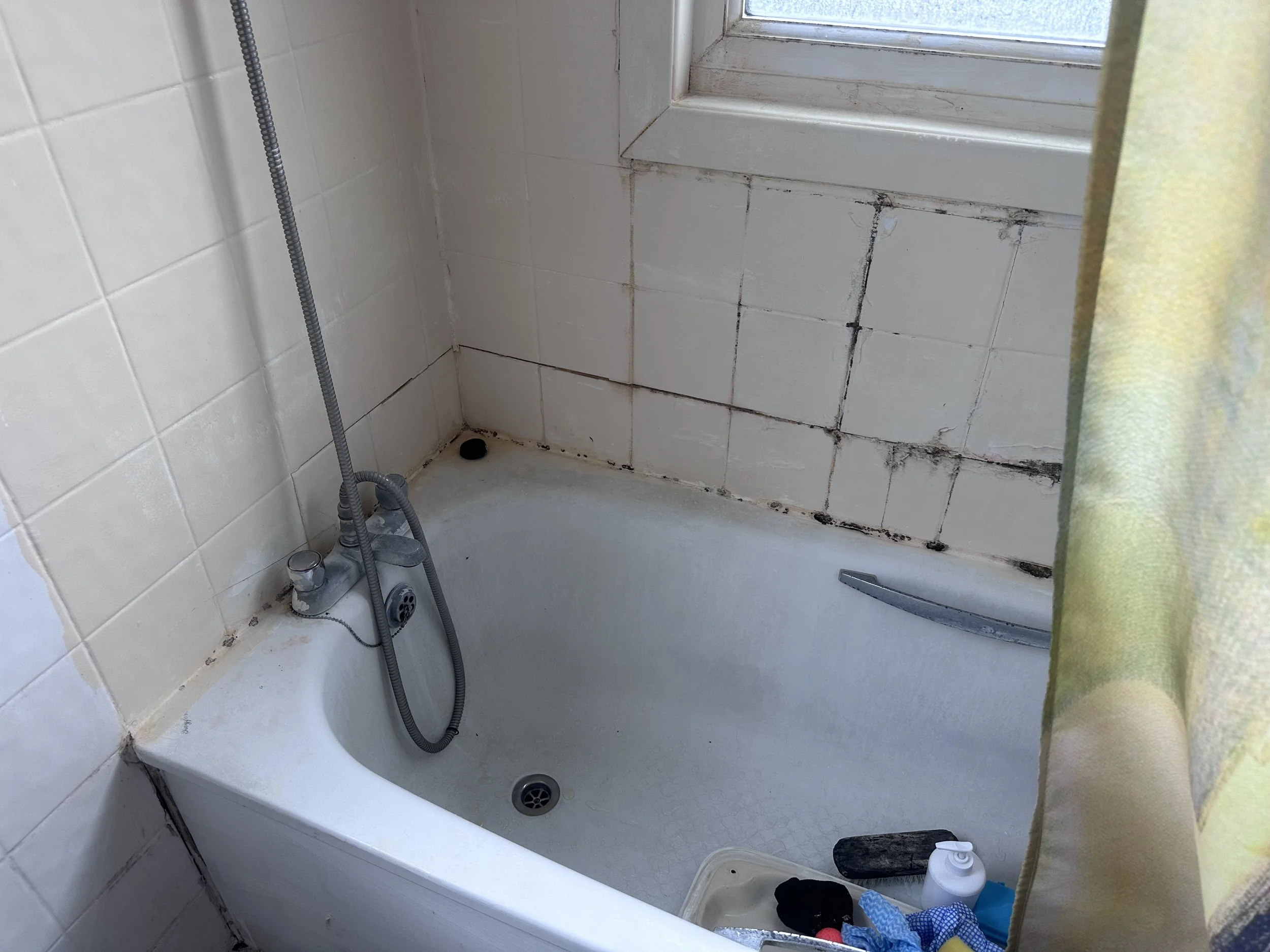 A white bathtub with black mold stains around the drain and on the surrounding tiles, with a handheld showerhead hanging on the wall and cleaning supplies on the edge of the tub.