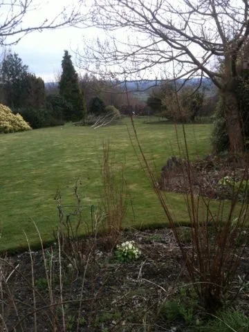 A backyard lawn with trees, shrubs, and garden beds, with a view of distant hills and overcast sky.