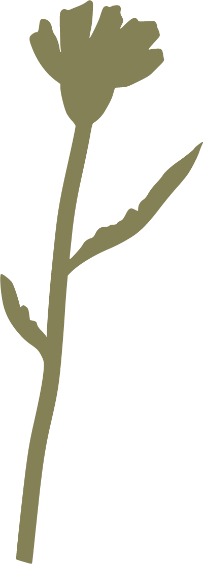 Silhouette of a flower with one bloom and a long, slightly curved stem with two leaves.