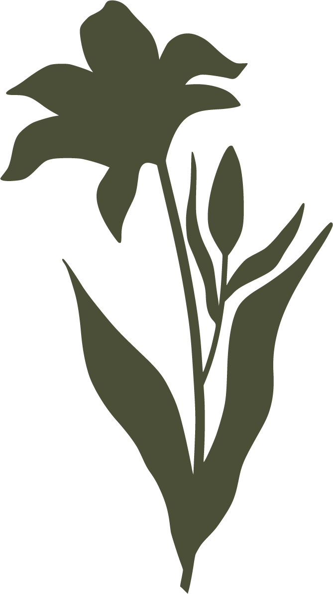 Silhouette of a flower with leaves and a bud