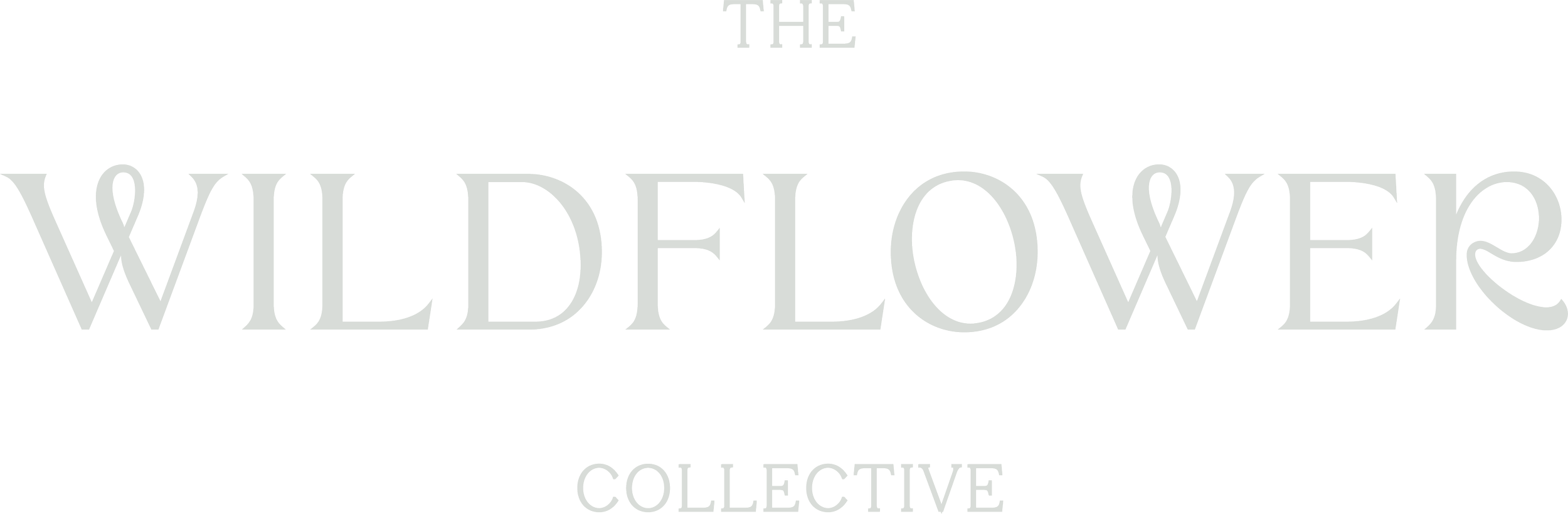 THE WILDFLOWER COLLECTIVE