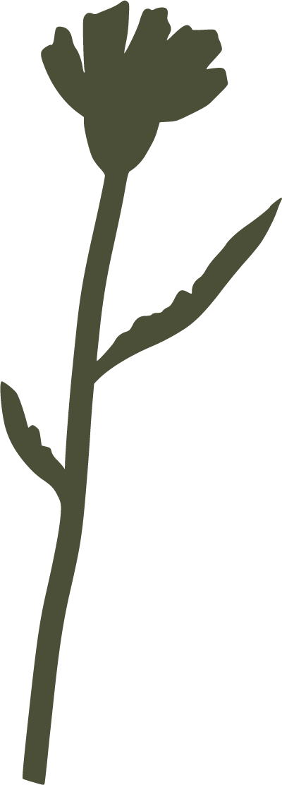 Silhouette of a single flower with a rounded bloom and a long stem with a leaf.