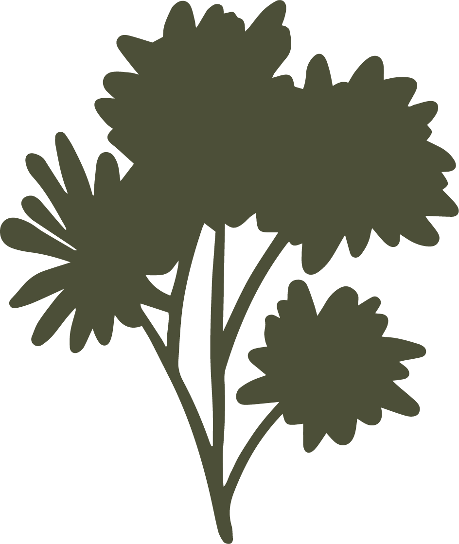 Silhouette of a parsley herb plant with multiple leaves and stems.