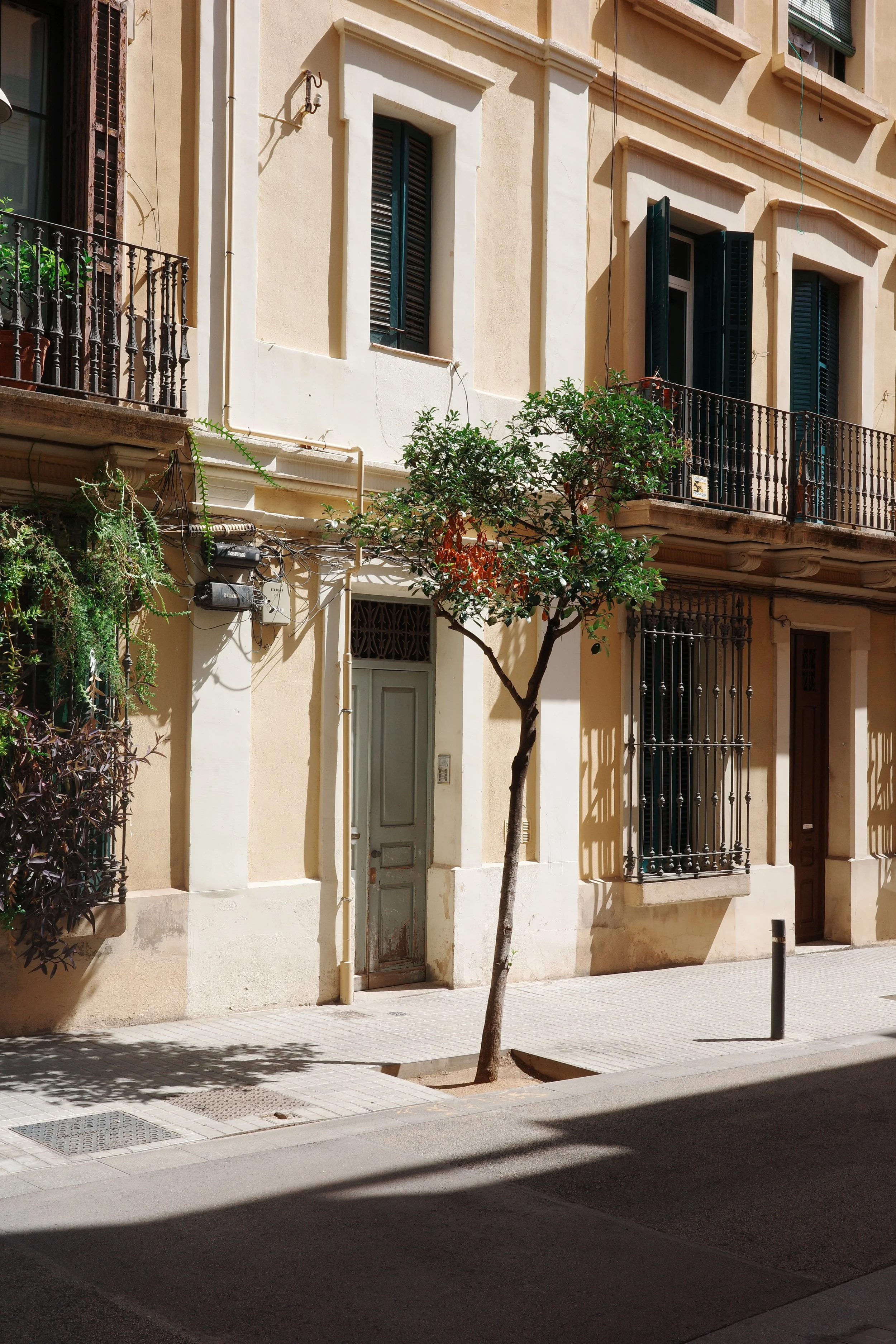 Sunlit city street with a beige building, green window shutters, and a balcony with black iron railings. There is a small tree casting shadows on the sidewalk and a bollard near the curb.
