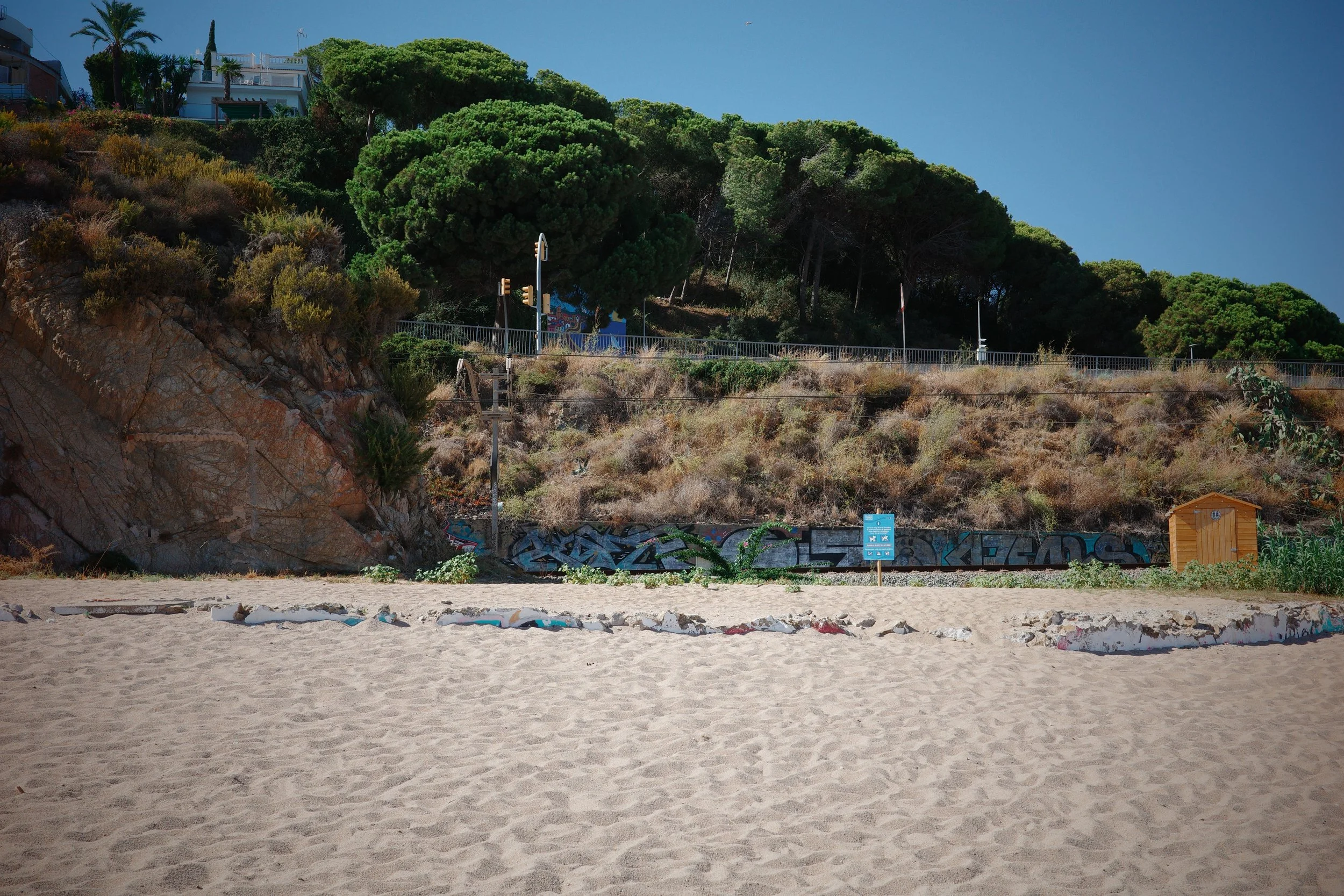 Beach with sandy shore in foreground, graffiti-covered wall, hillside with trees and houses in background, clear blue sky.