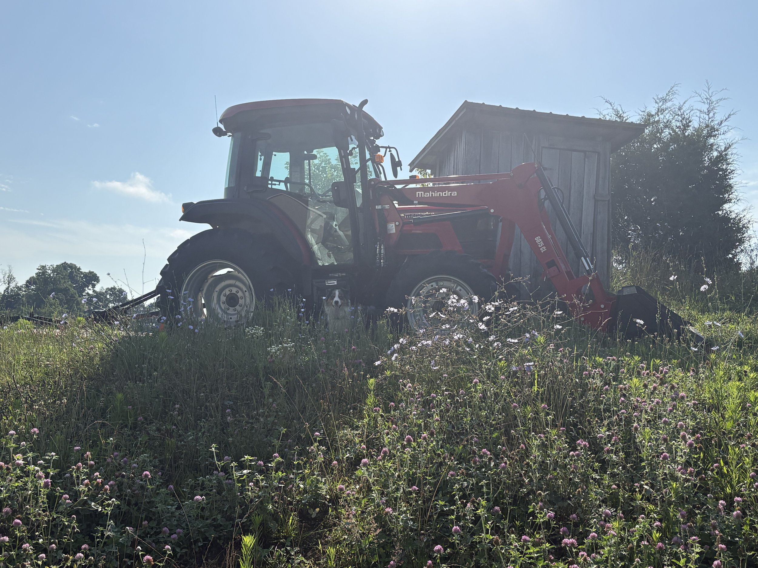 Retirement: It Started With a Farm