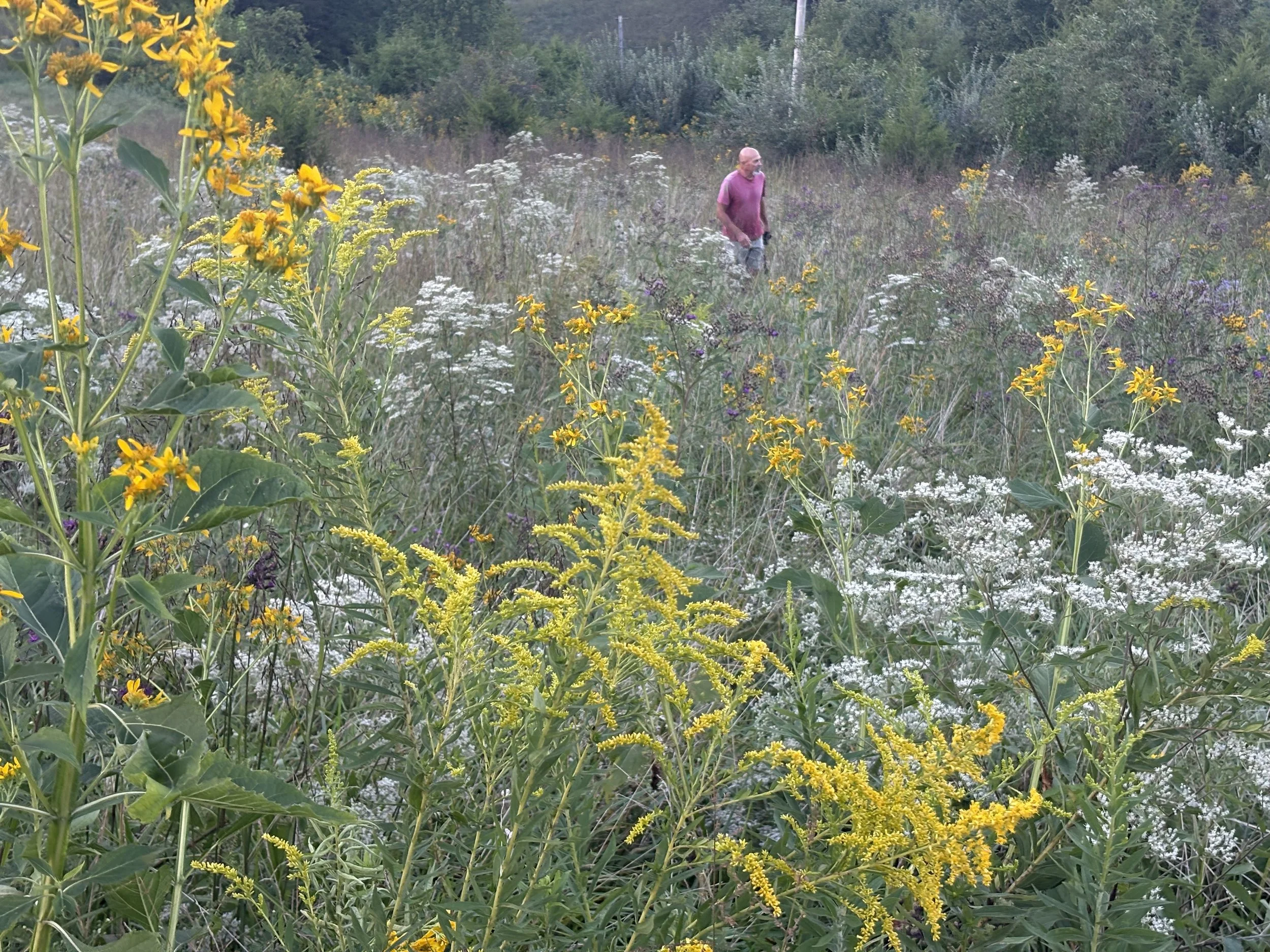 A Walk Through the Last Blooms of Summer