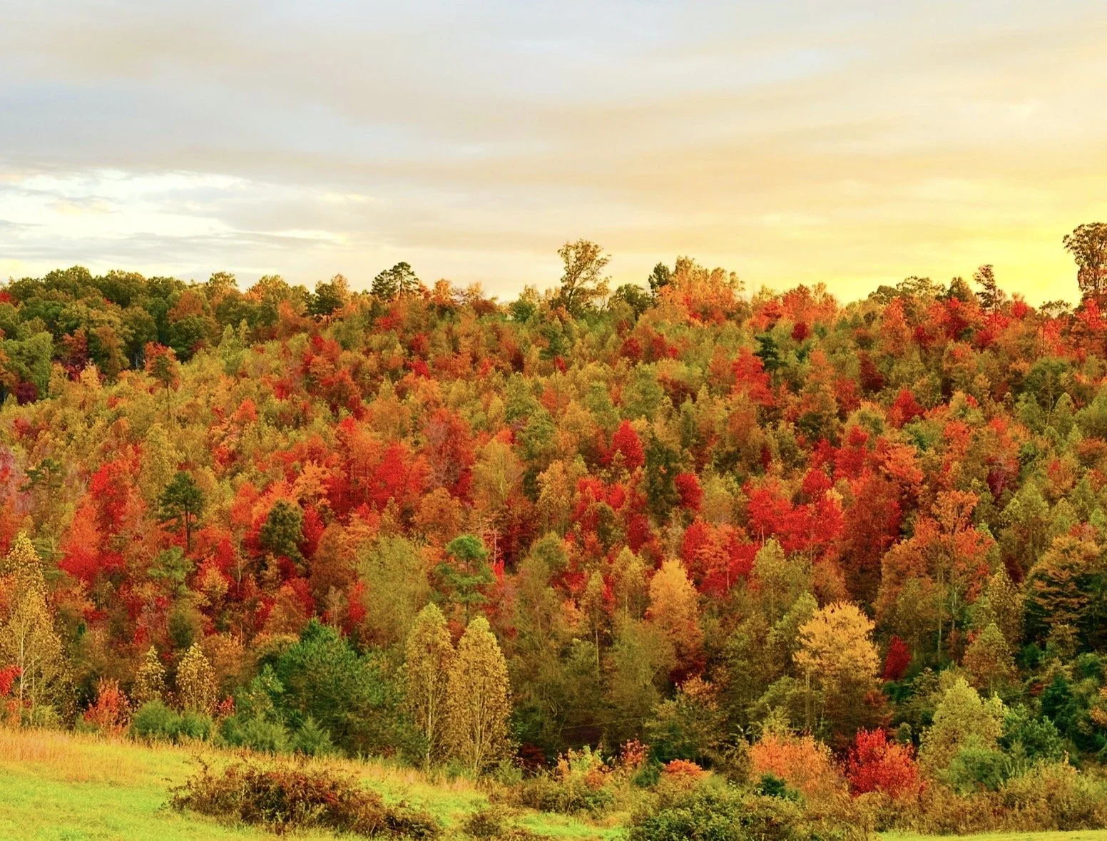 The Farm's First Signs of Fall: A Time for Reflection &amp; Learning