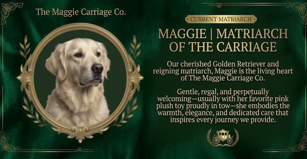 Portrait card and biography for Maggie, Golden Retriever matriarch of The Maggie Carriage Co.