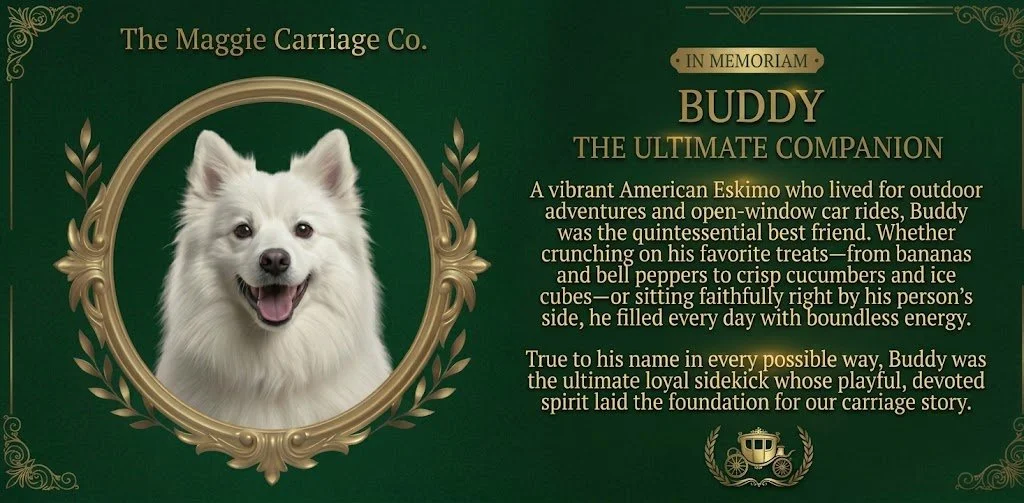 In Memoriam card and biography for Buddy, American Eskimo companion of The Maggie Carriage Co.