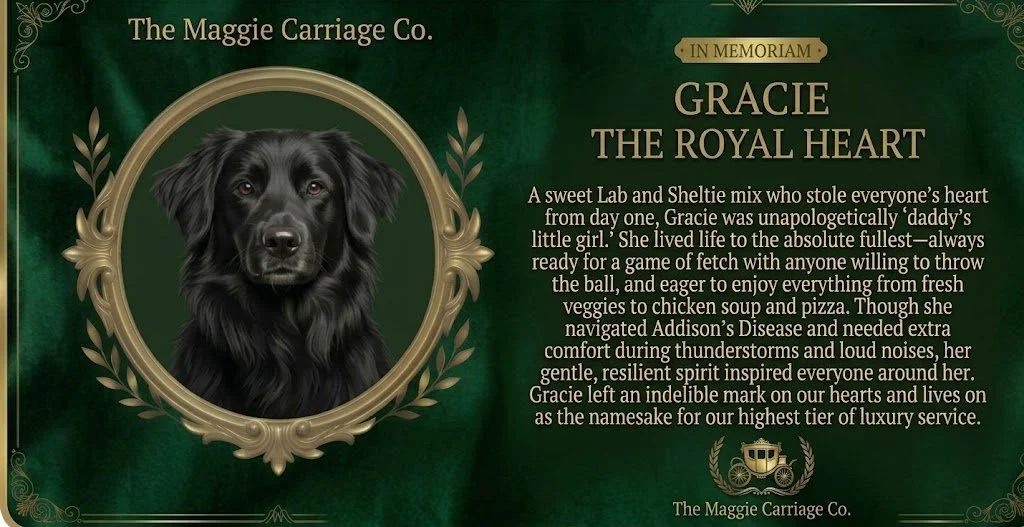 In Memoriam card and biography for Gracie, Lab Sheltie mix and namesake for Gracie tier service.