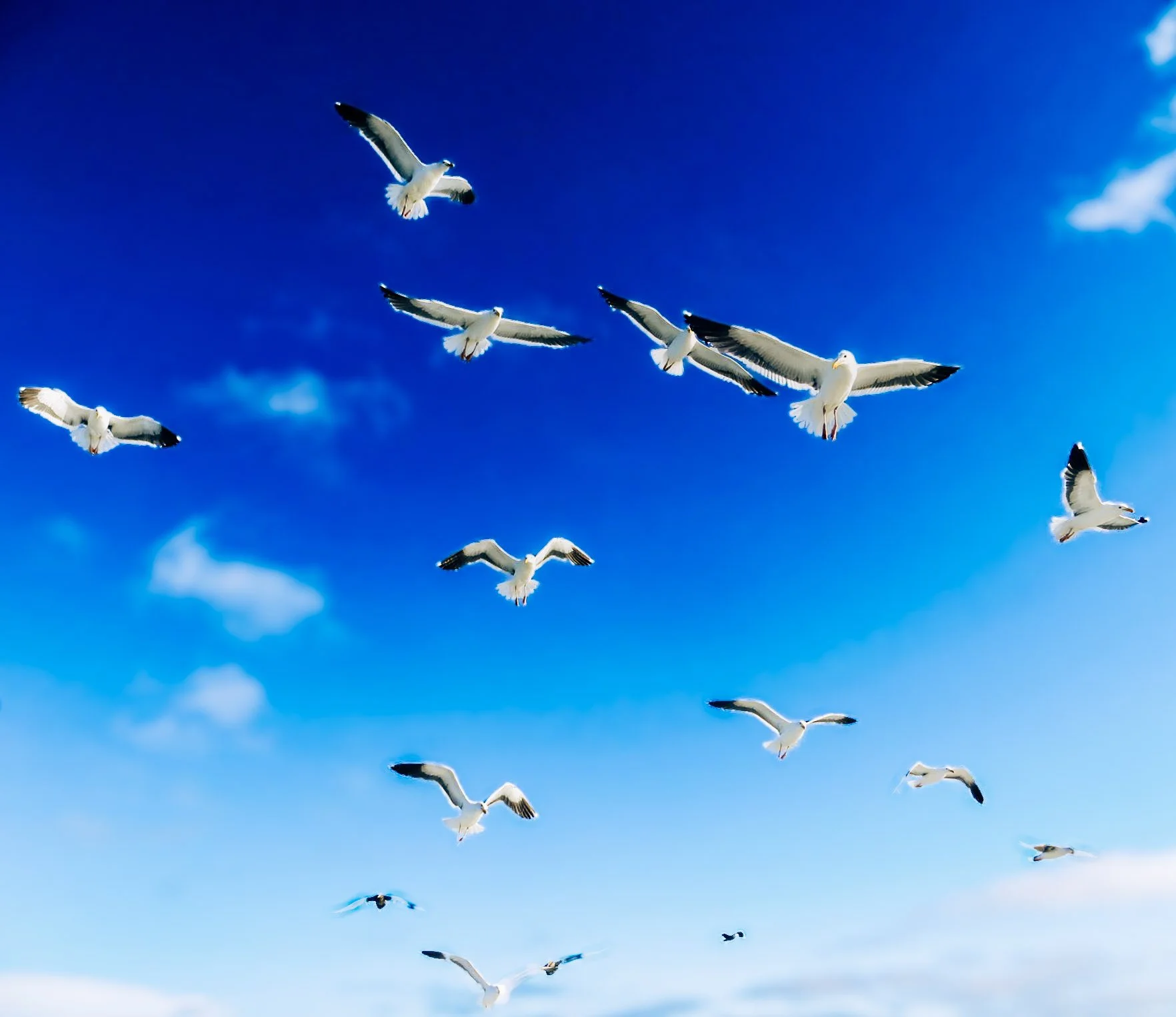 Flight.jpg