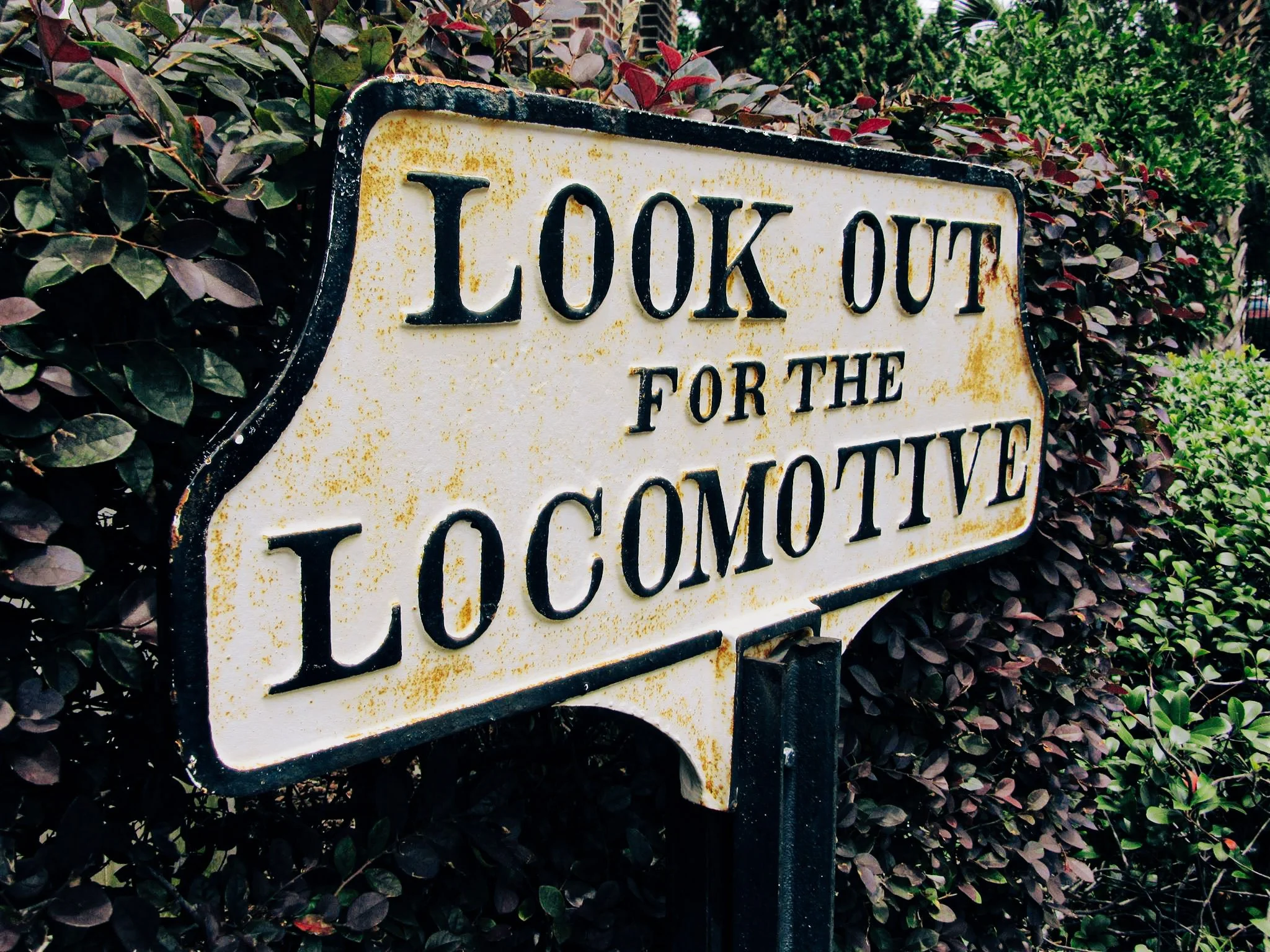 LookOut.jpg