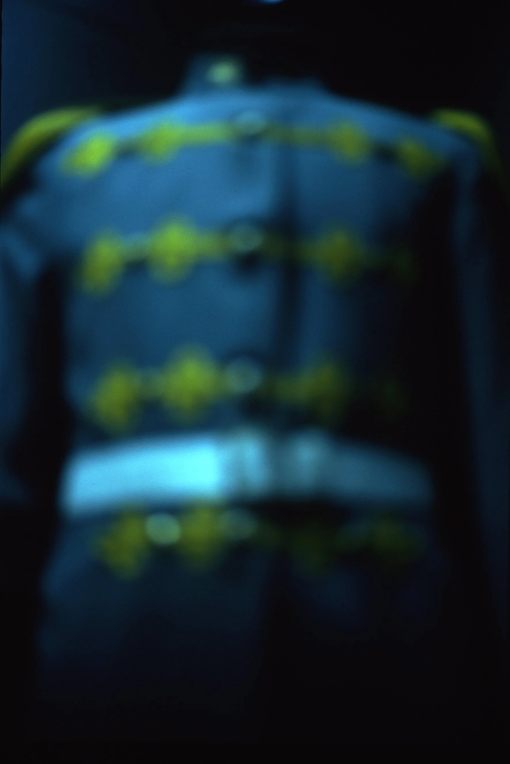 “State President’s Guard (Formed 1967 – Deactivated 1990), Riflemen”, Laserchrome print, 180 x 120 cm, 2000/2003
