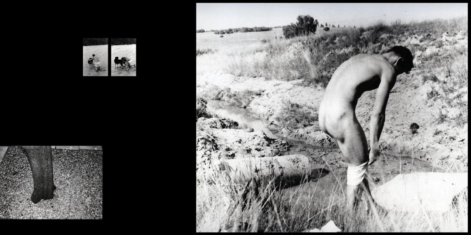 And our fathers that begat us (after Koos Prinsloo), installation view, Colour and black-and-white archival photographs on photographic paper, flashlights, 2000