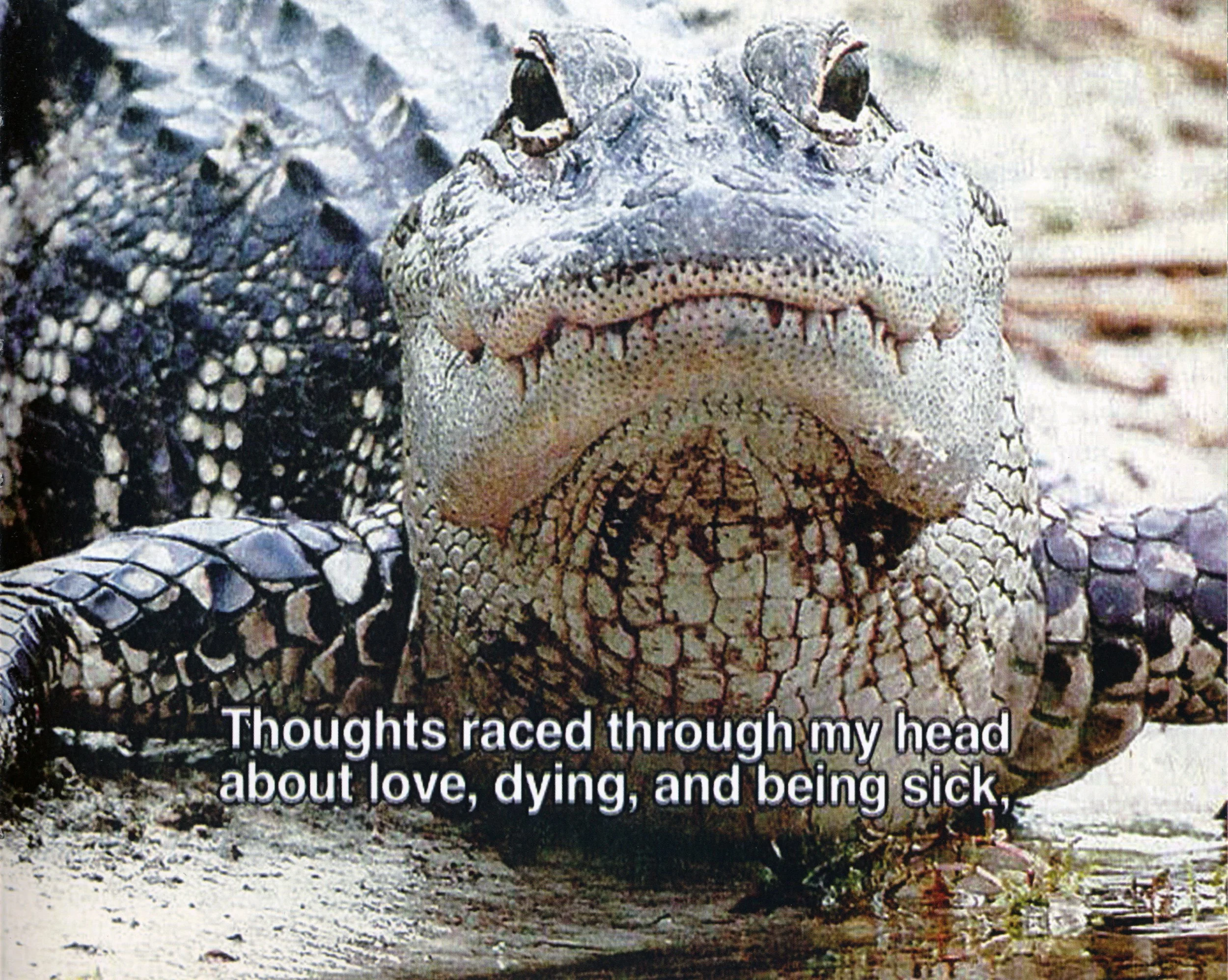 De Morgen, still from video with sound, 2006-2007