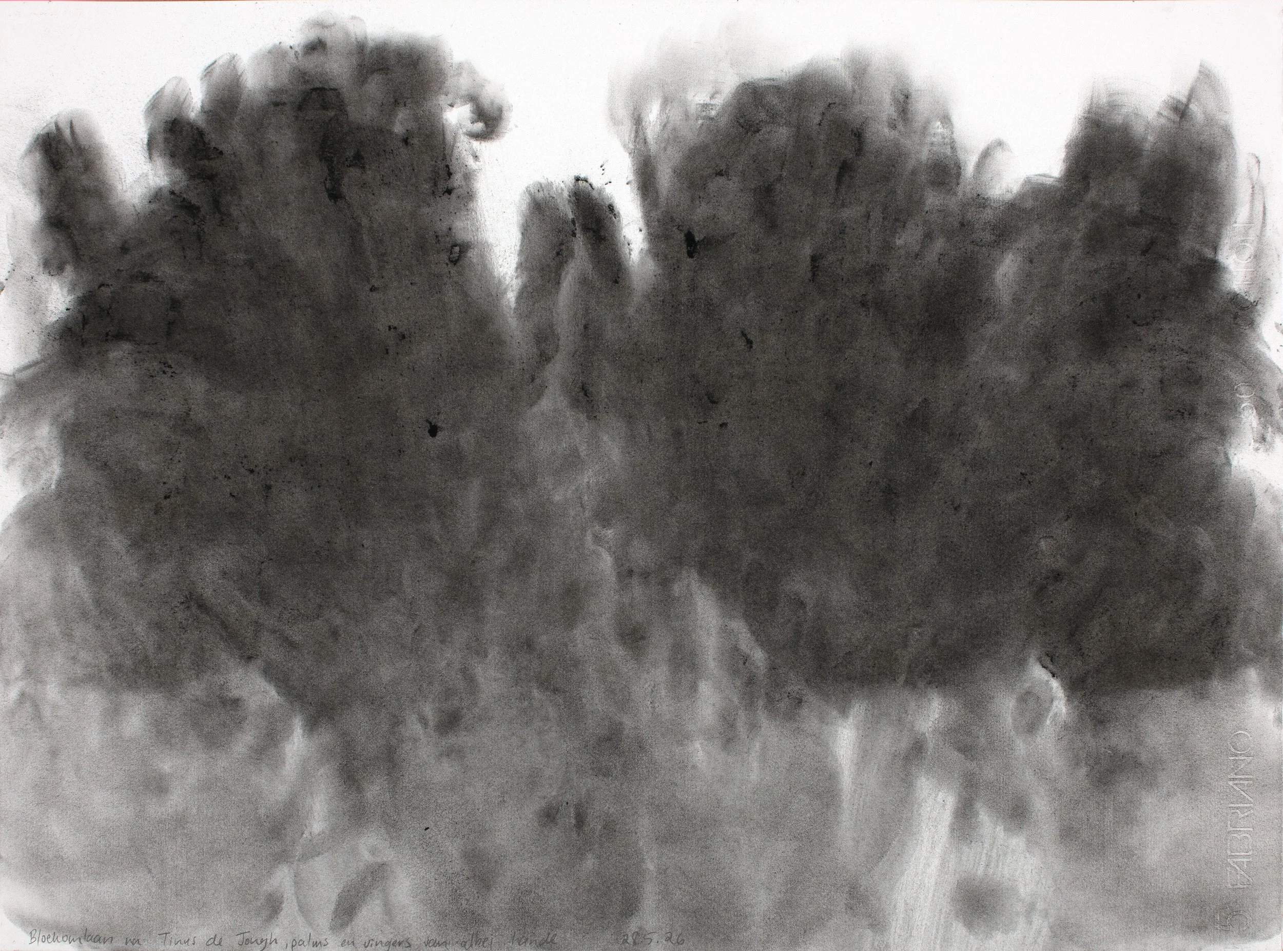 Avenue of gumtrees after Tinus de Jongh, palms of both hands, Charcoal on paper, 45,5 x 60,7 cm, 2026