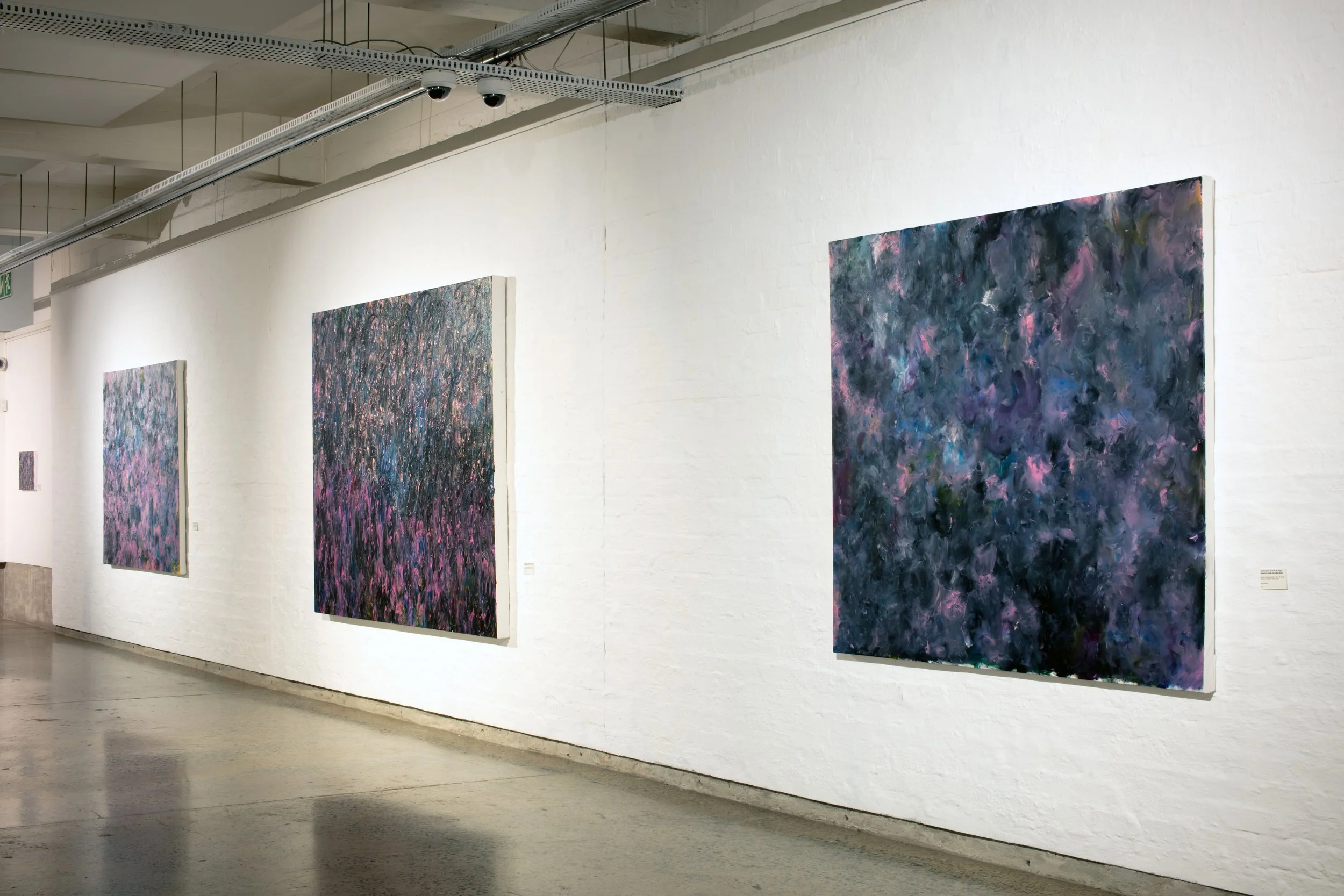After De Jongh, installation view, Wits Art Museum, Johannesburg, 2026