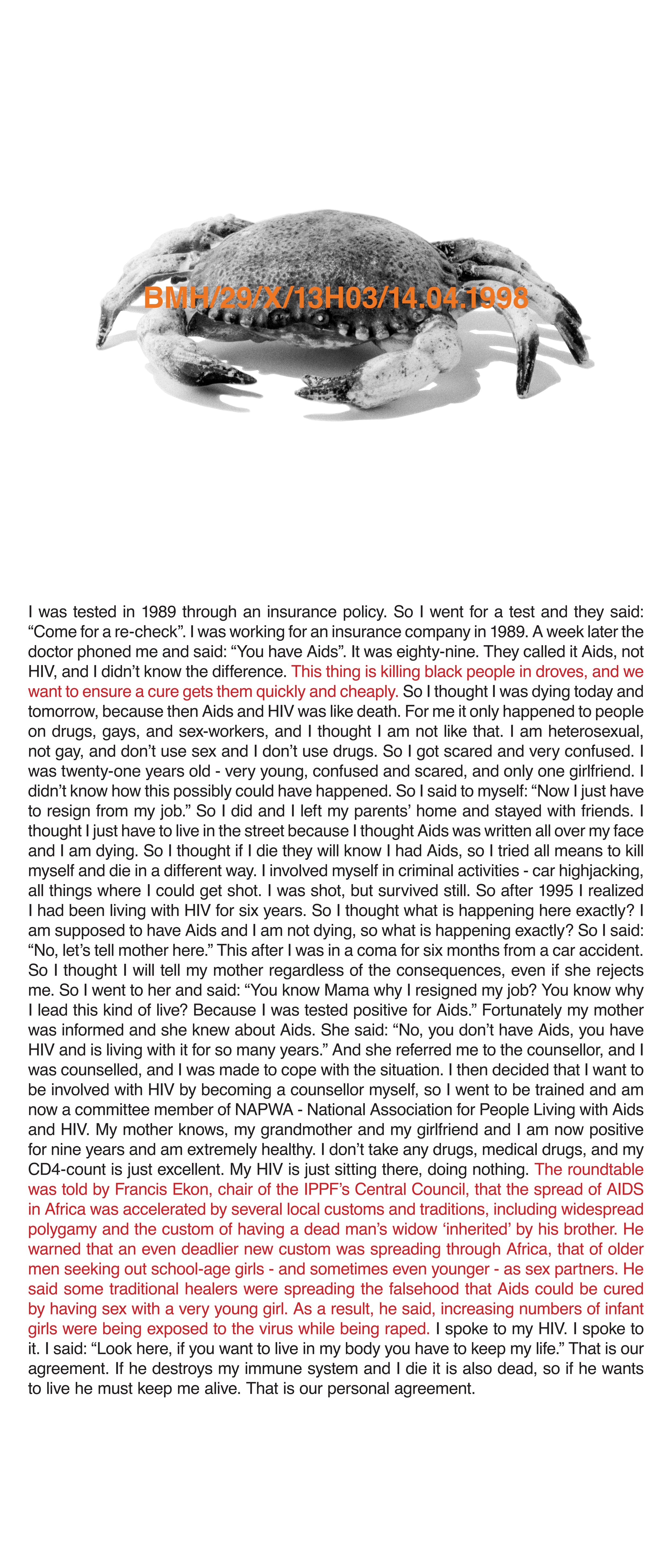 BMH/29/X/13H03/14.04.1998, Inkjet print on vinyl, 140 x 60 cm, 1998
