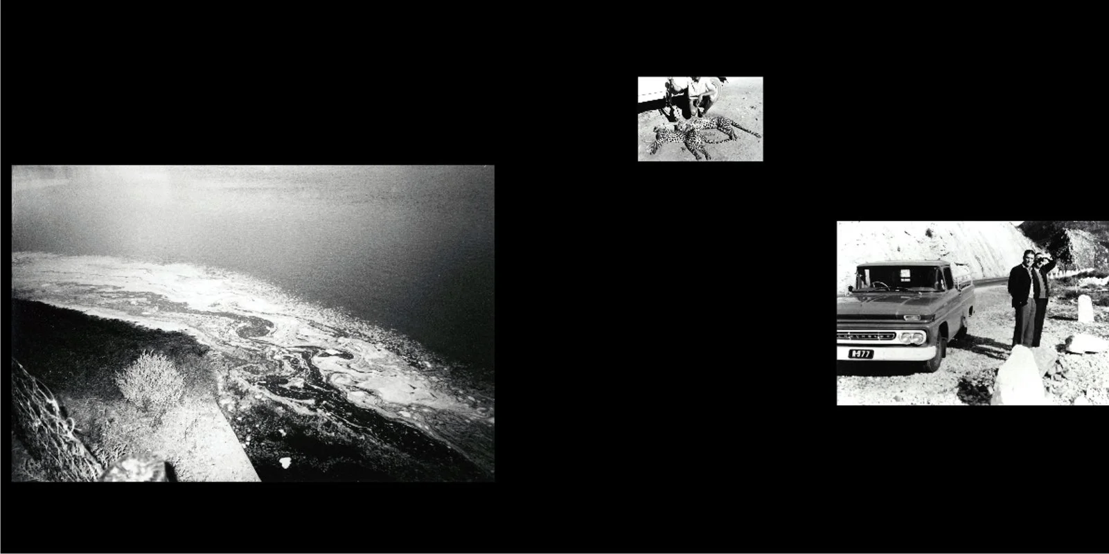 And our fathers that begat us (after Koos Prinsloo), installation view, Colour and black-and-white archival photographs on photographic paper, flashlights, 2000