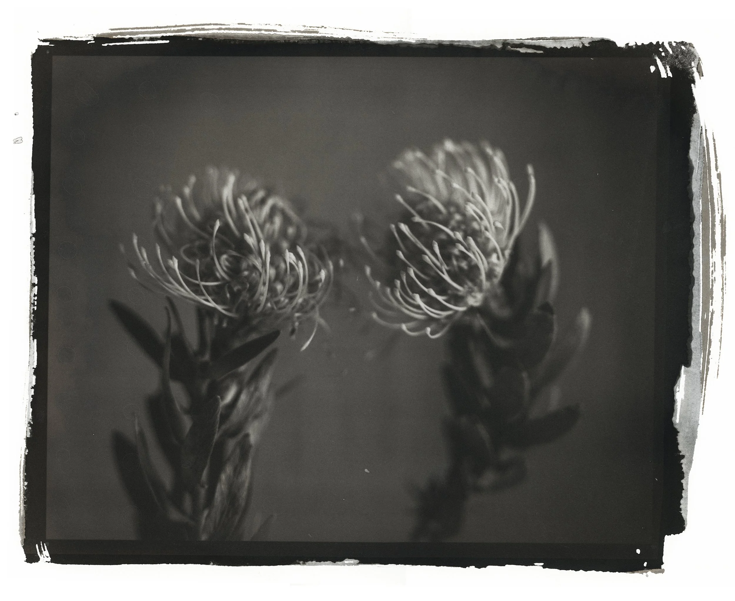 The Conversation, Salted Paper Print