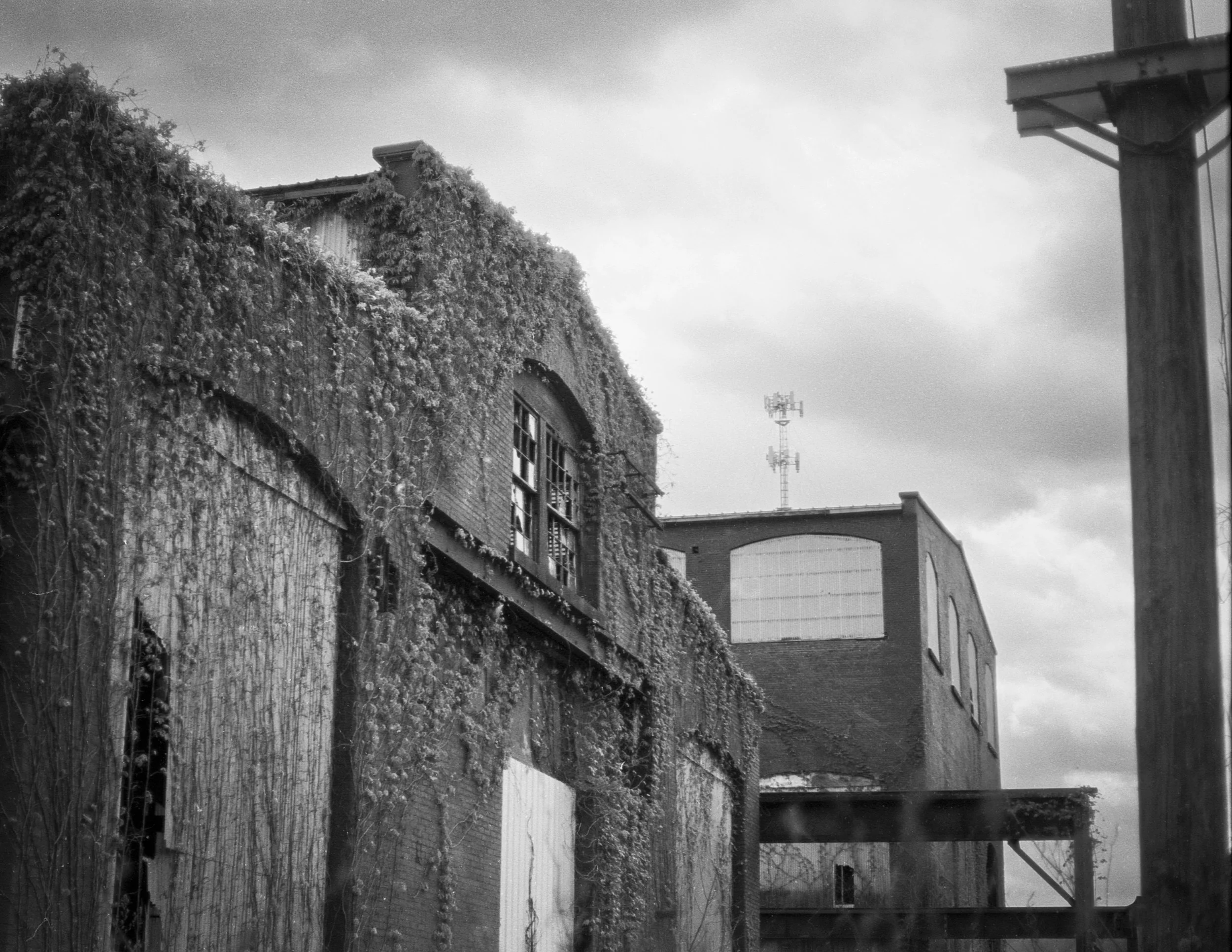 renovo 2 copy larger file.jpg