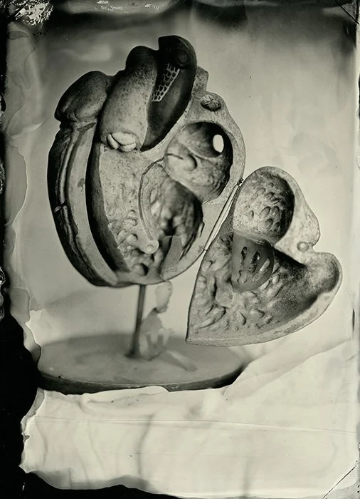 Plastic Heart, tintype