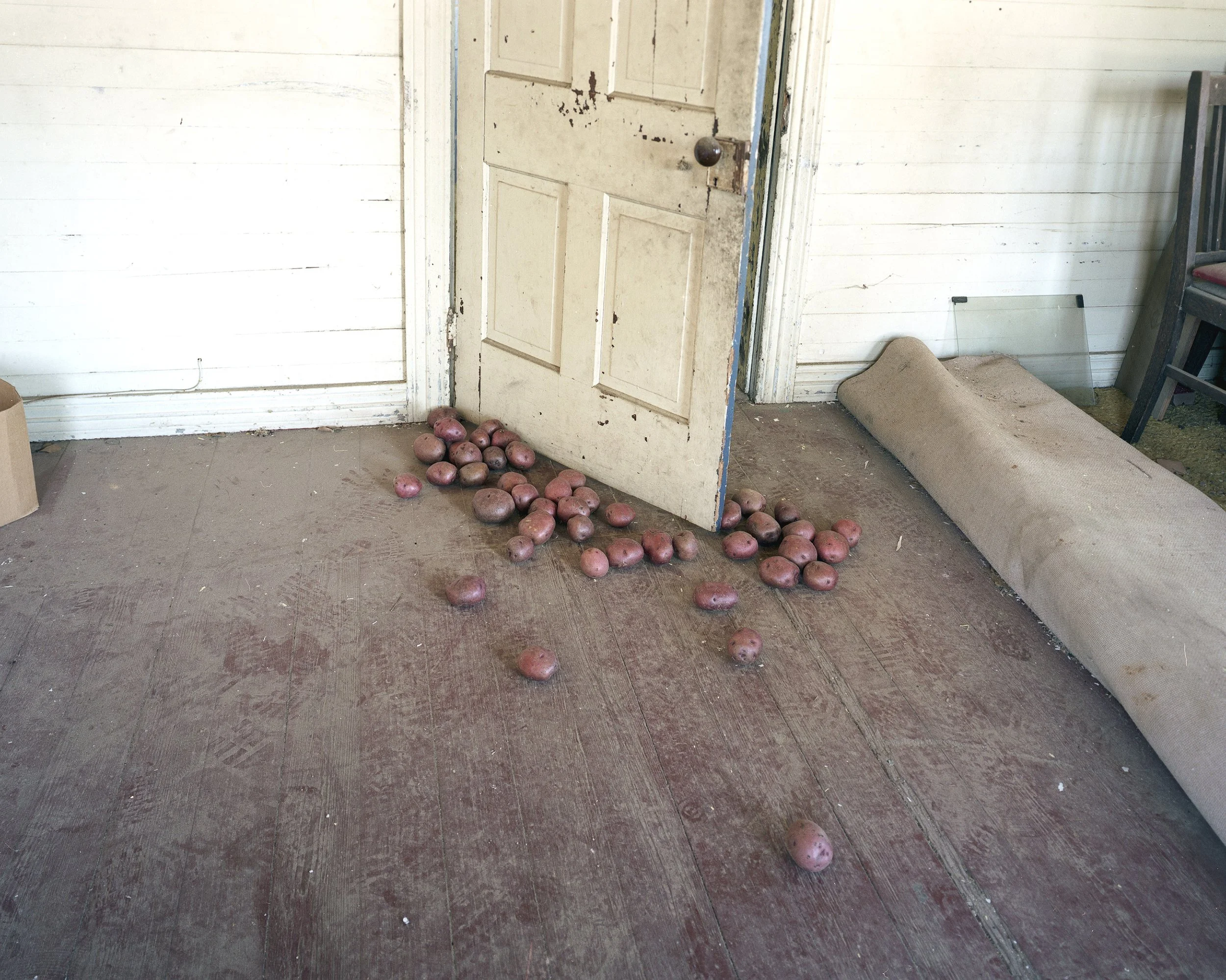 Potato Farmer, Claxton GA