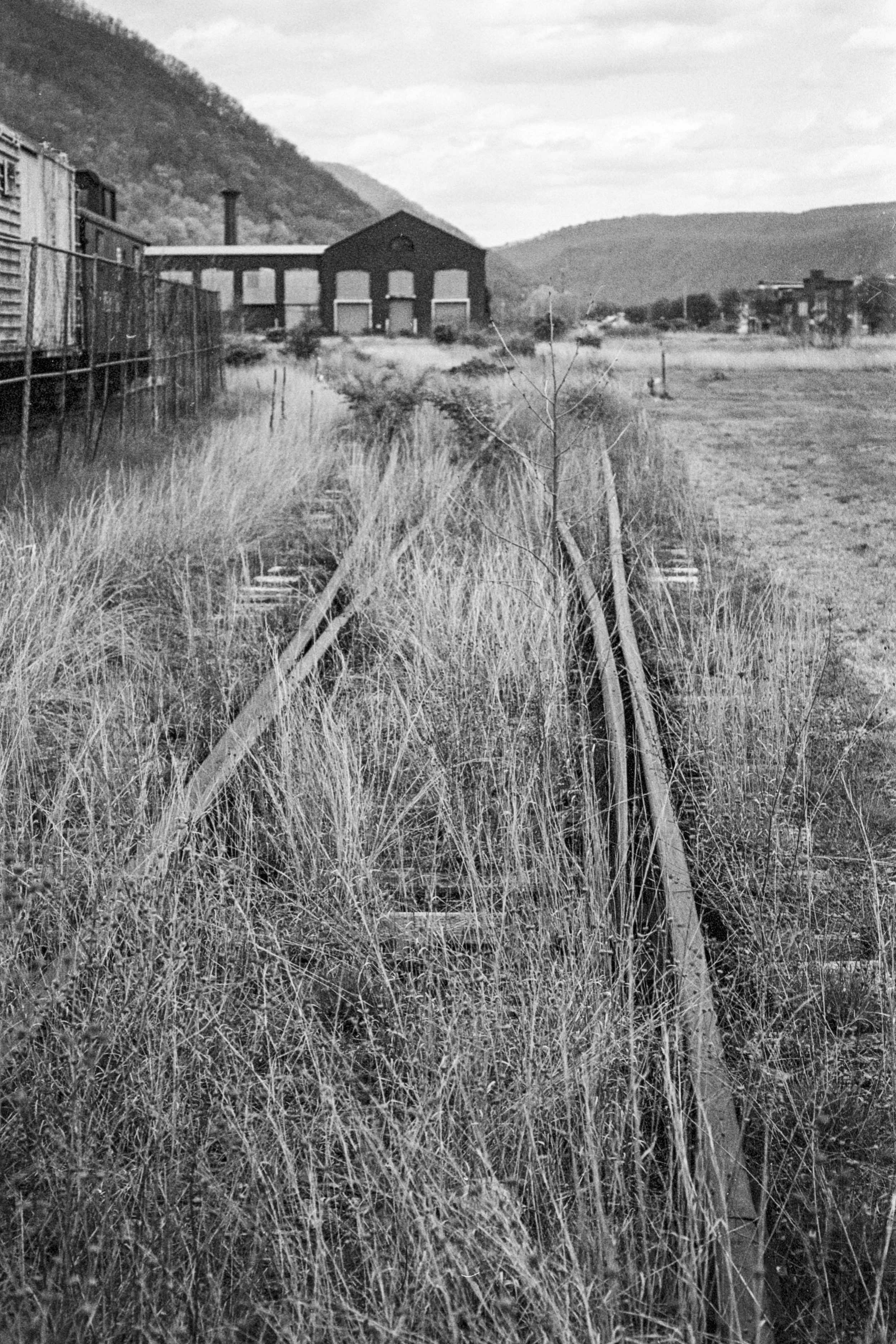 train trax removo copy.jpg