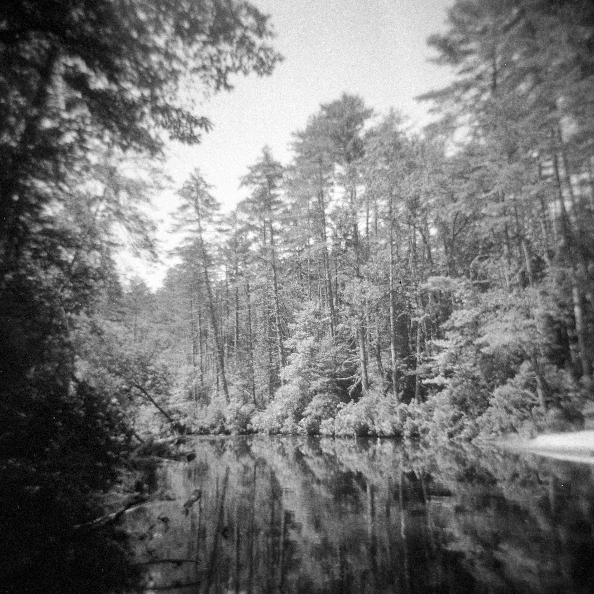 chatooga river holga edit.jpg