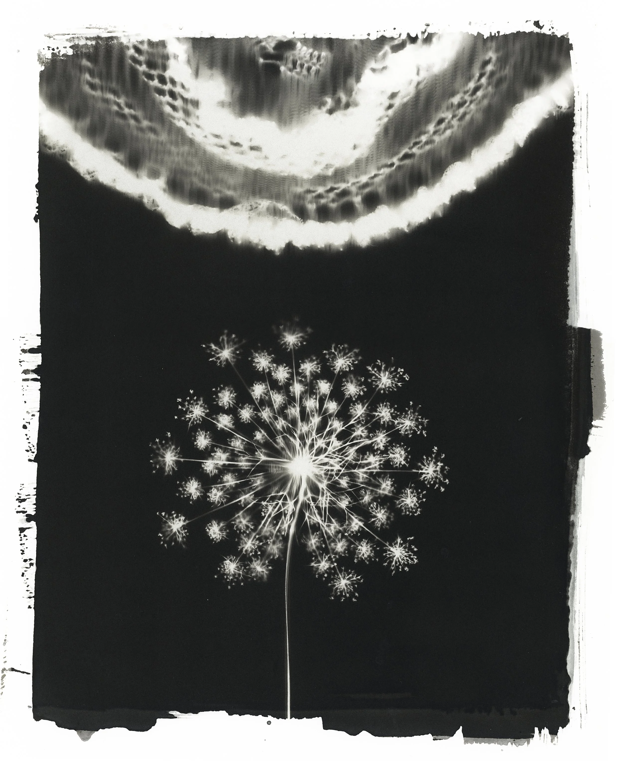 Heirloom Bonnet, Salted Paper Print