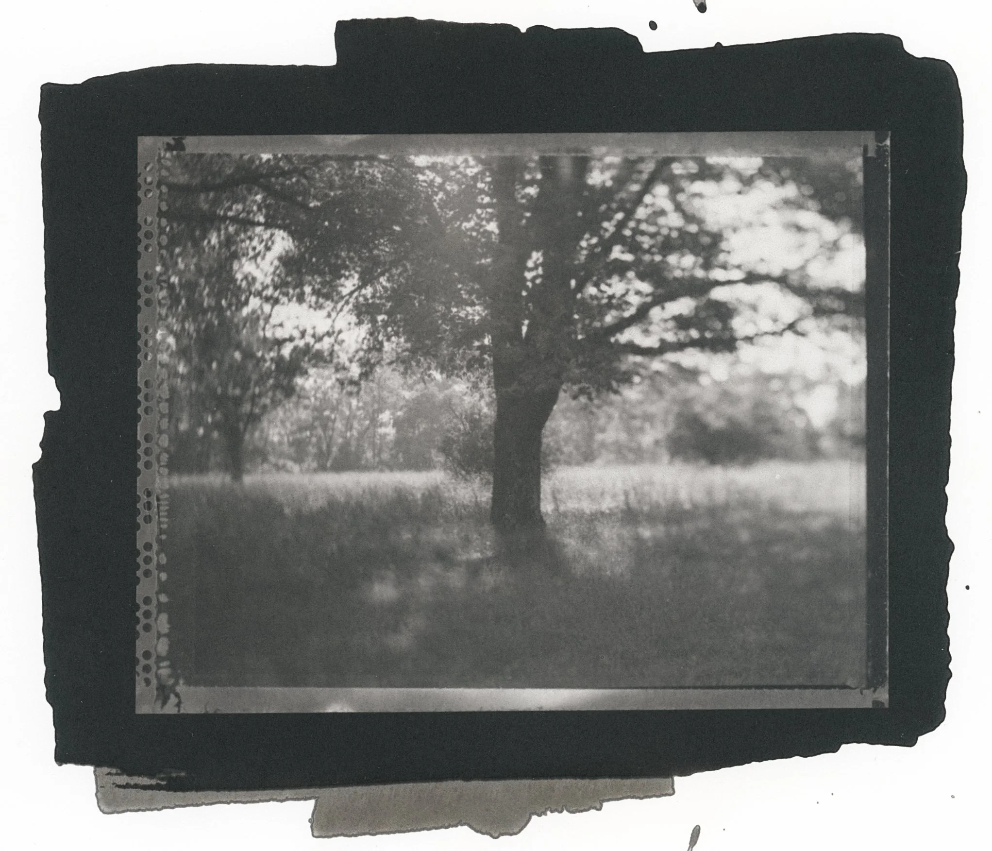 The Place Where I Grew Up, Salted Paper Print