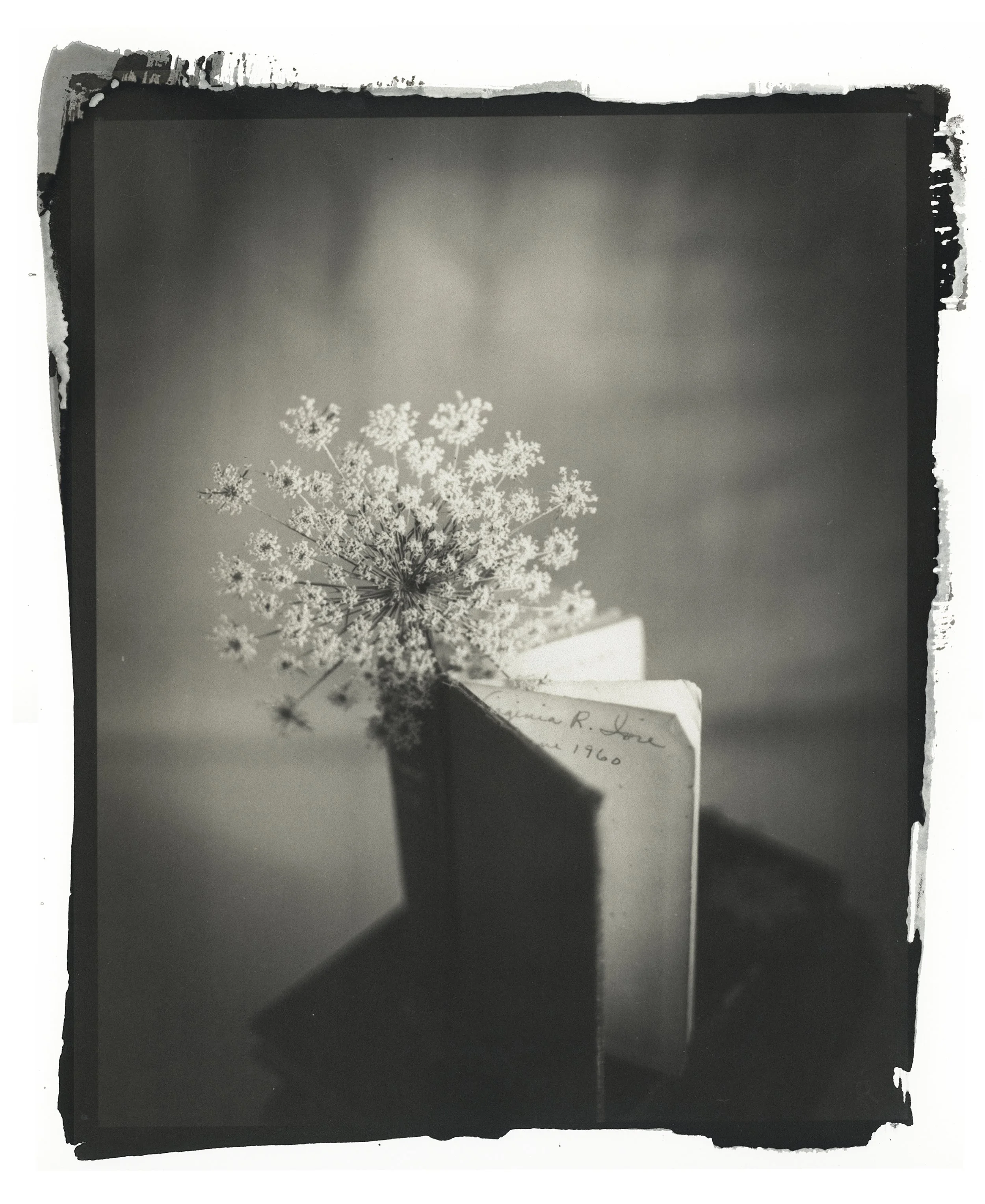 Queen Anne’s Lace with Mother’s Book, 
salted paper print