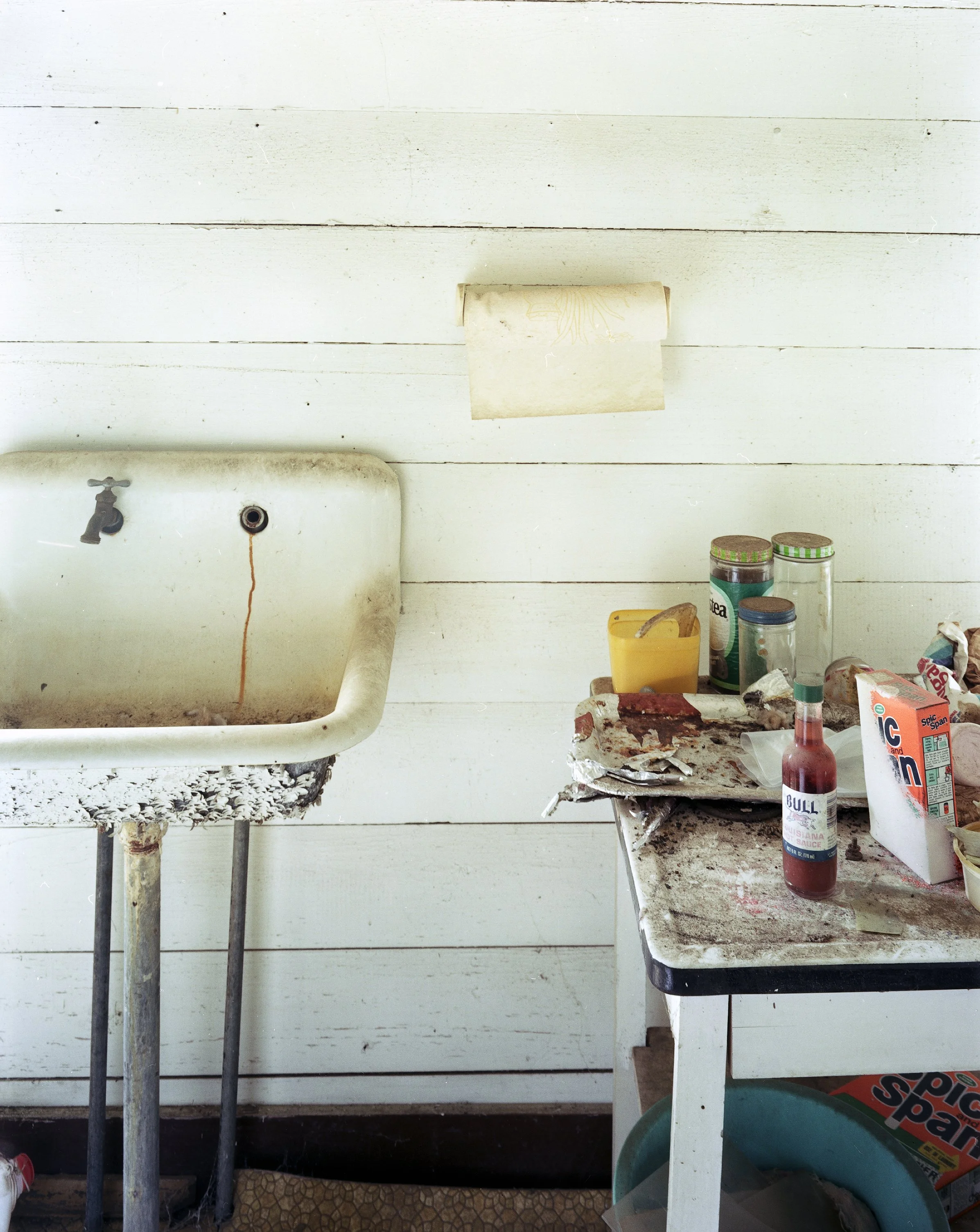 Sink, Claxton GA