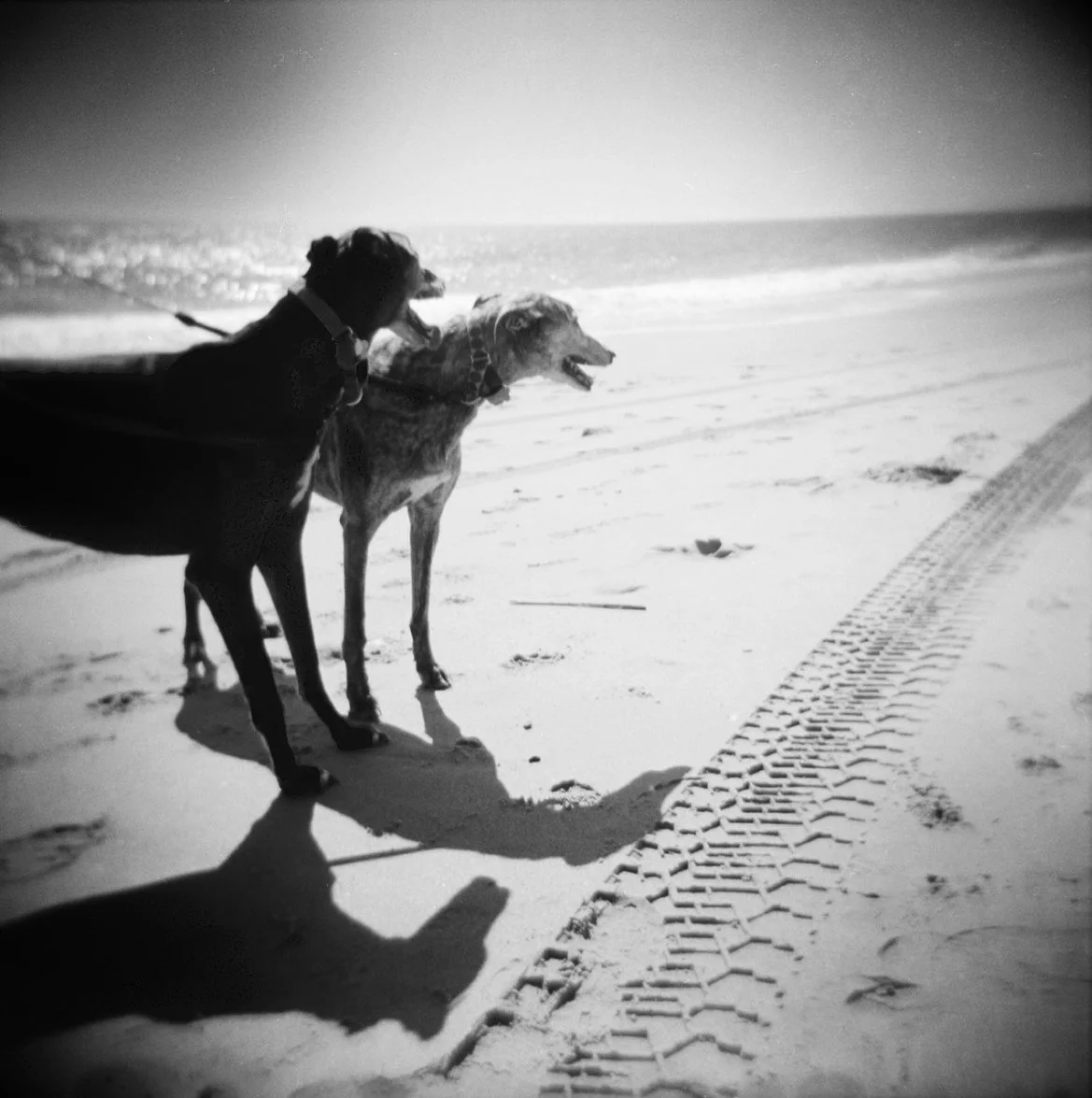 Beach Walk.jpg