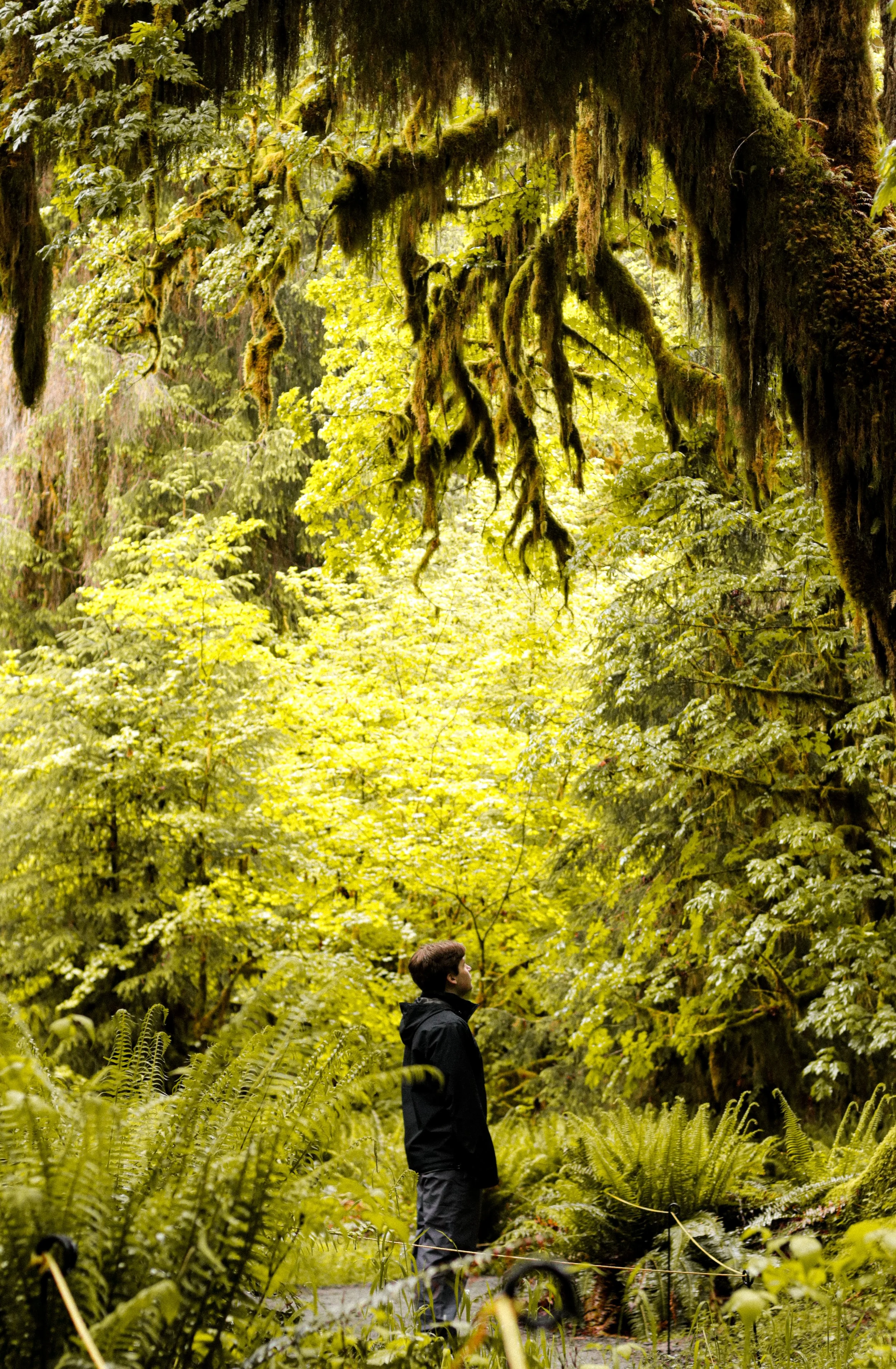 Olympic, WA