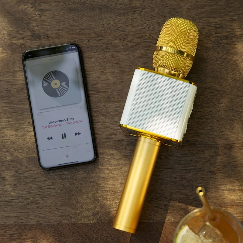 50945_KaraokeMicrophone_S20HT copy.jpg