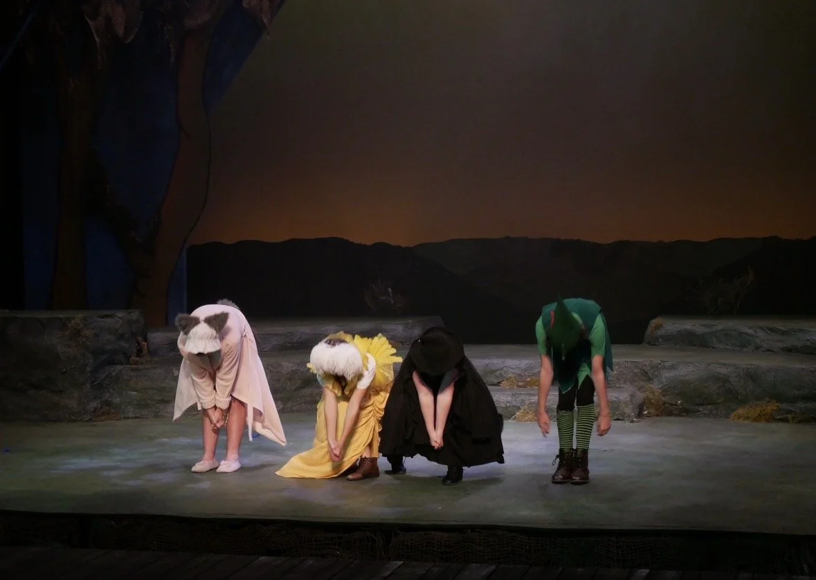 Shrek - Mill Mountain Theatre