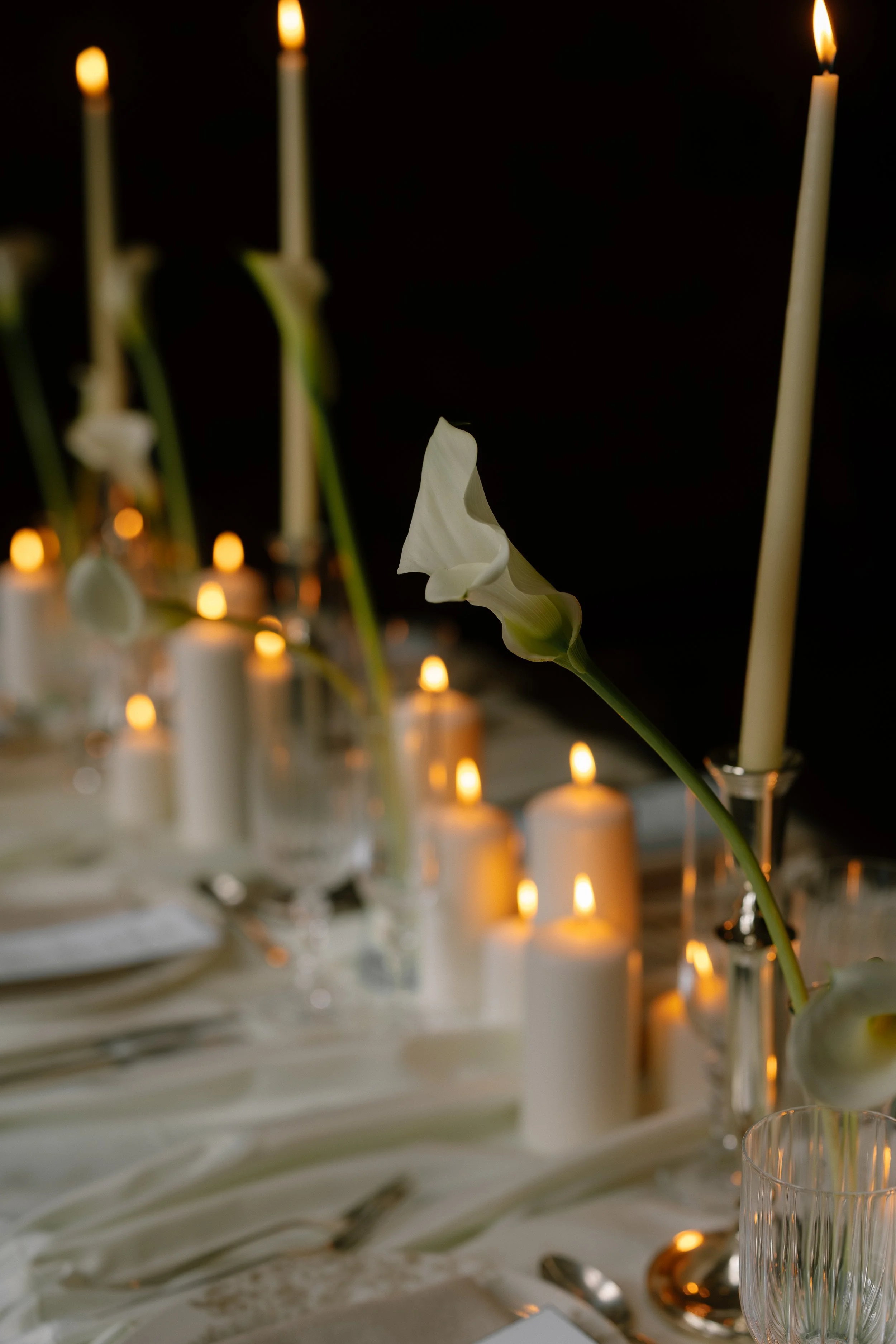 CMI-Massey-College-November-2-2025-12.jpg